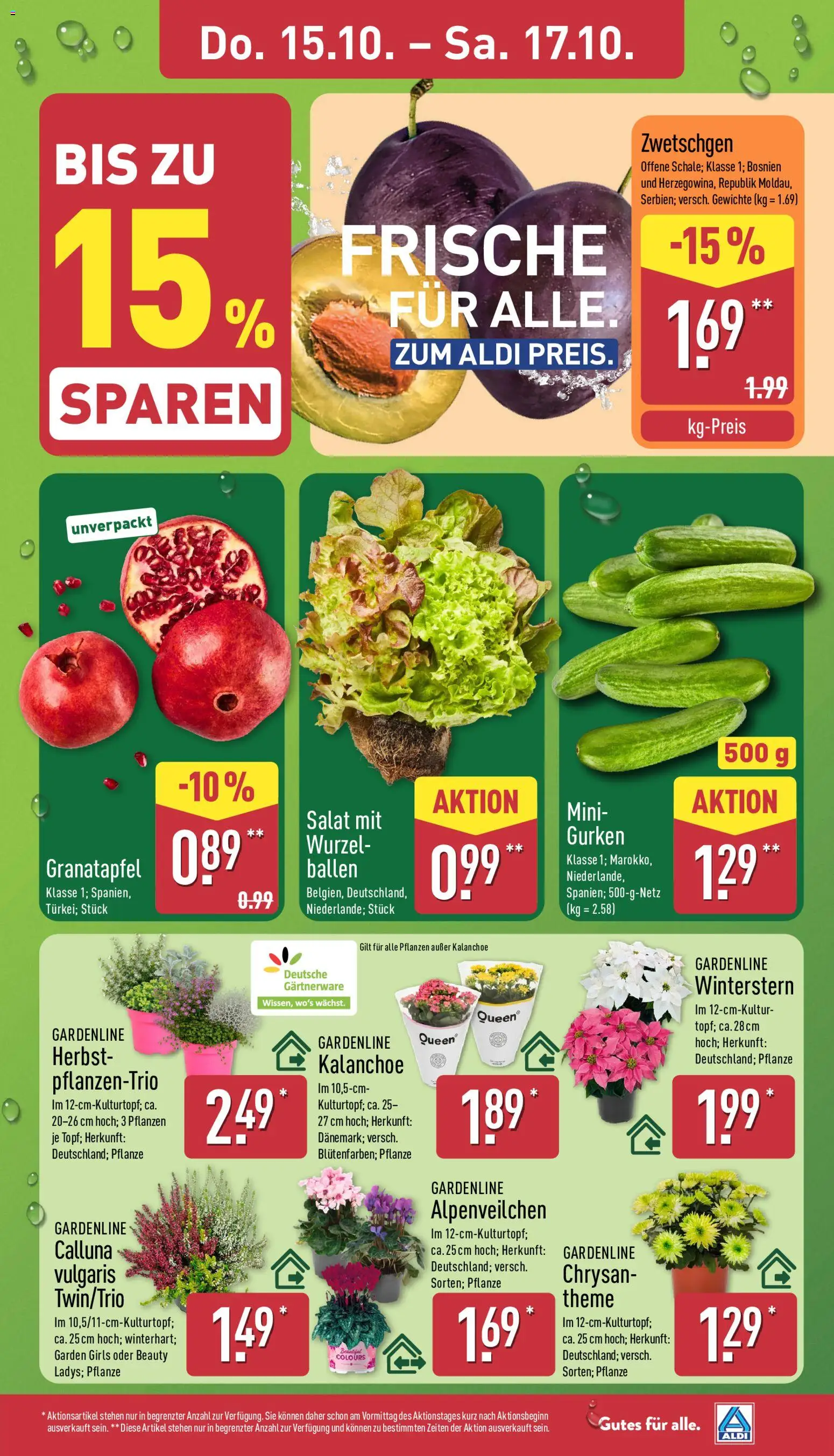 Aldi Prospekt – gültig ab 12.10.2026 | Seite: 29