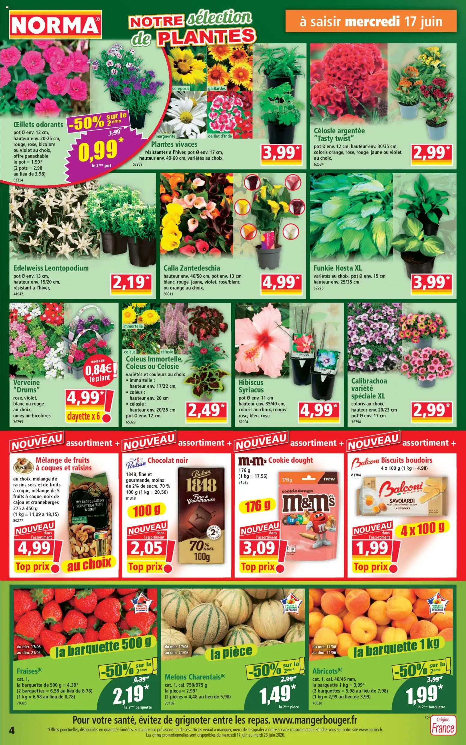{H1} | Page: 4 | Produits: Raisins secs, Plantes, Noix, Biscuits