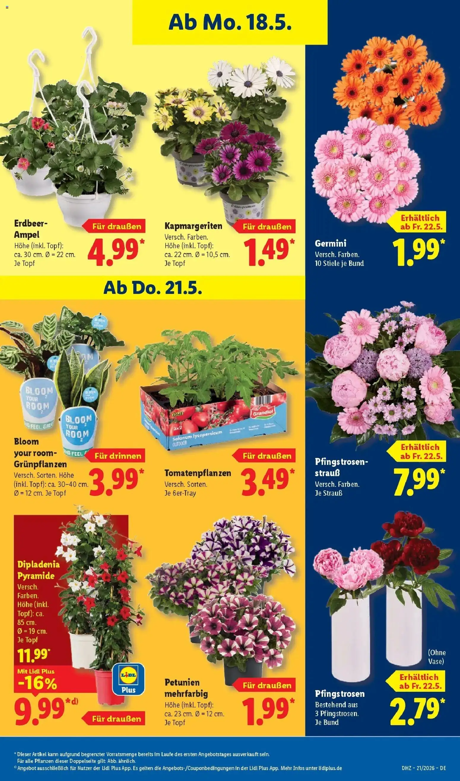 Lidl Prospekt Weikersheim – gültig ab 17.05.2026 | Seite: 71 | Produkte: Vase