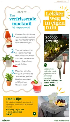 Welkoop folder - Zomermagazine - Voorbeeld van een folder van Welkoop, geldig van 22-06-2026 | Pagina: 29 | Producten: Munt, Dienblad, Verlichting, Frambozen