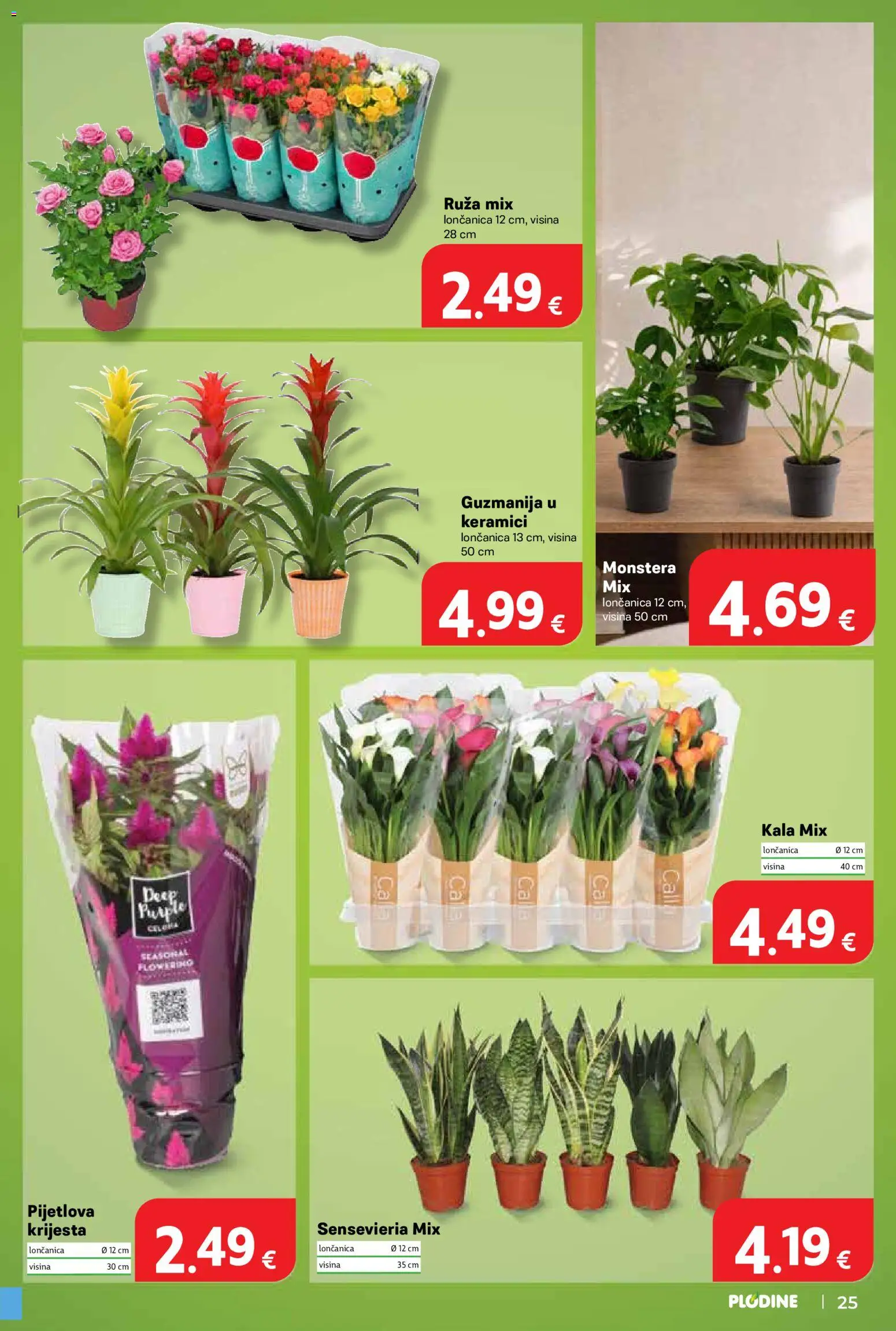 Plodine katalog | vrijedi od 12.08.2026 | Stranica: 25 | Proizvodi: Kala, Loncanica, Ruza