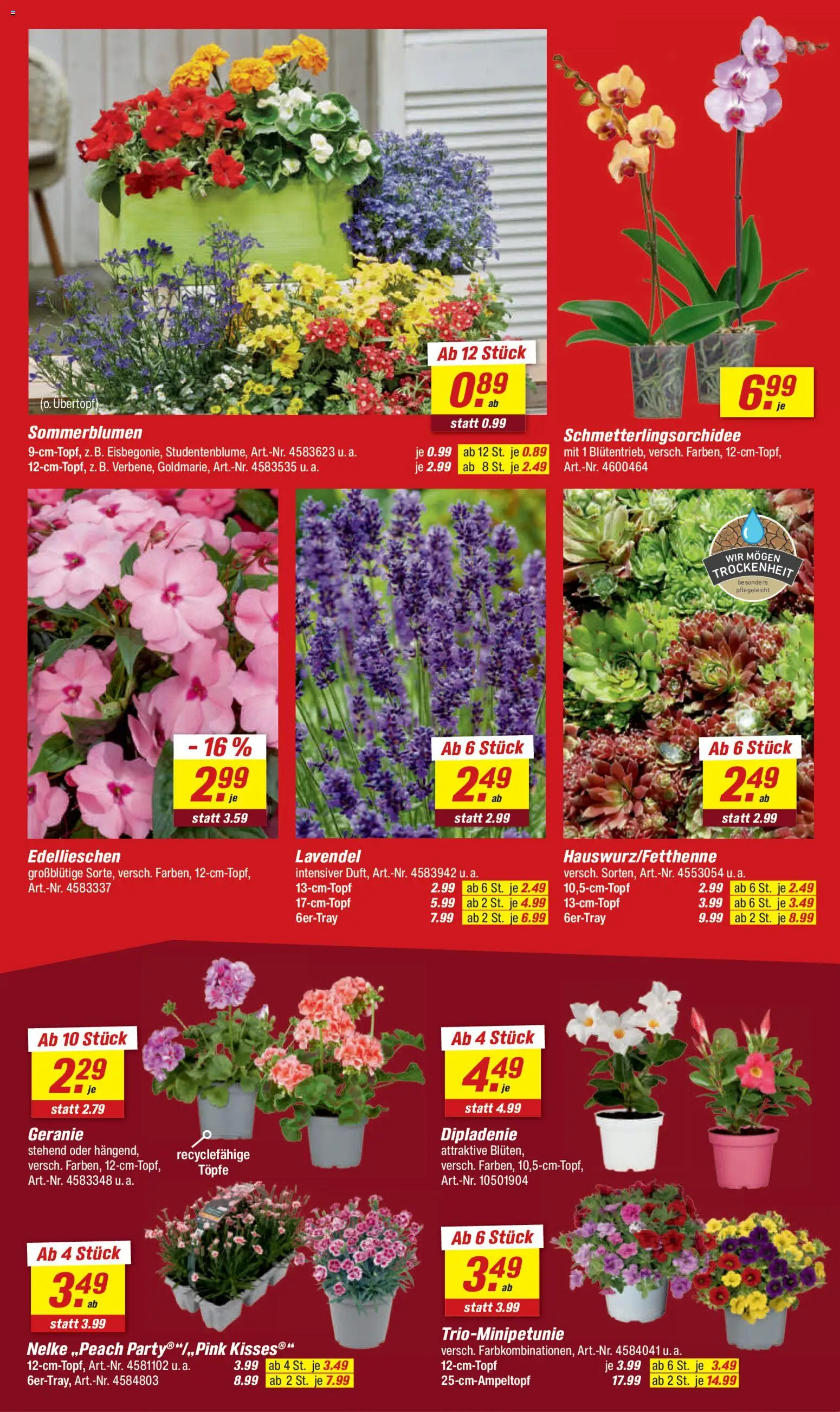 Toom Baumarkt Prospekt 	 – gültig ab 09.05.2026 | Seite: 4