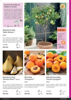 Náhled letáku Starkl katalog od 25.02.2026 | Strana: 19 | Produkty: Ovoce, Květináče, Hrušky, Meruňky