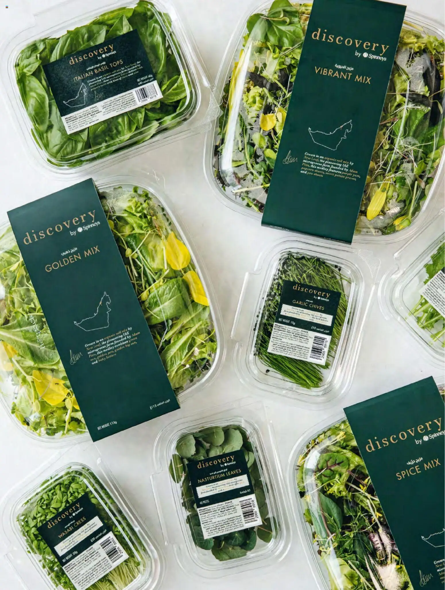 {H1} | Page: 66 | Products: Popcorn, Garlic, Lettuce, Pea