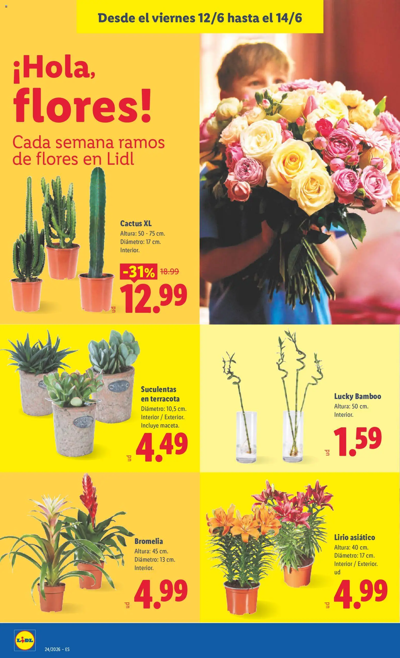 Lidl folleto │ válido desde el 08.06.2026 | Página: 50