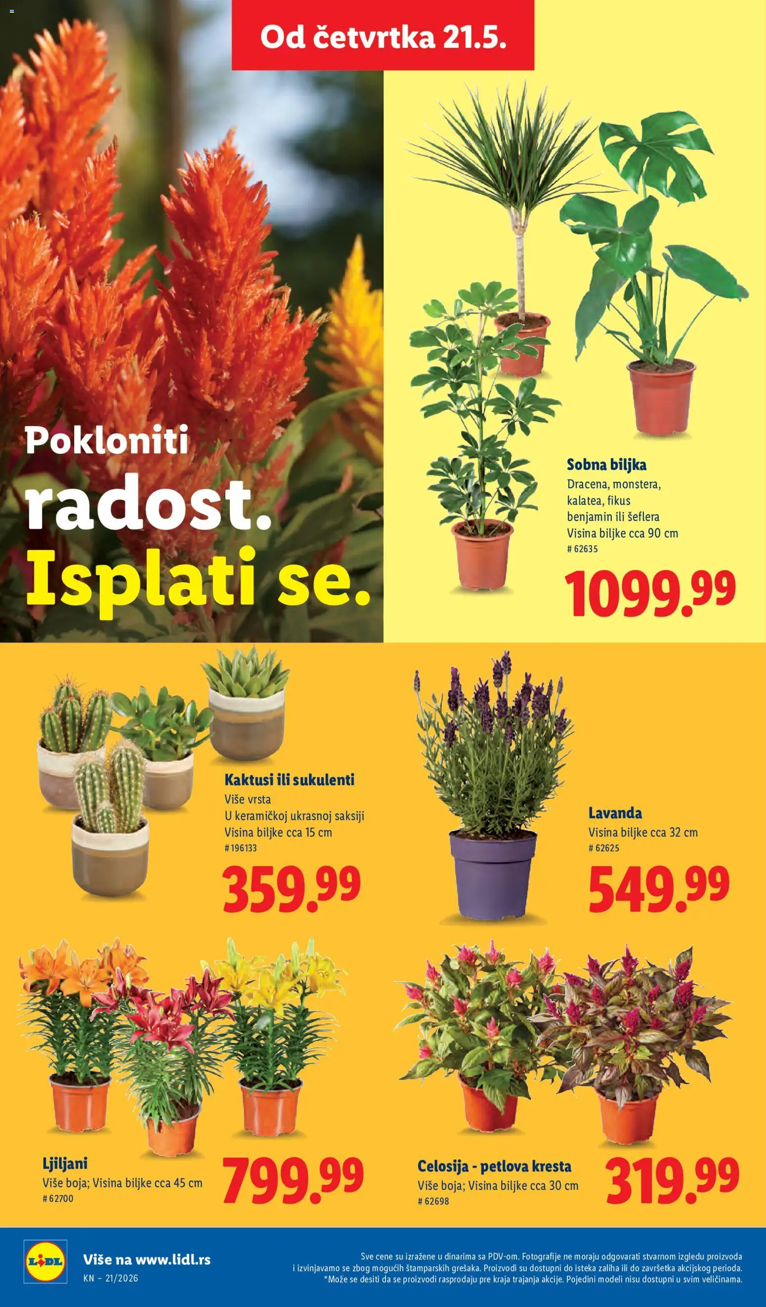 Lidl katalog - važi od 21.05.2026 | Strana: 64