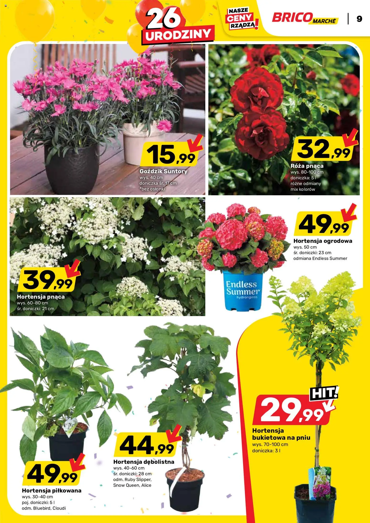 Brico Marché gazetka od 20.05.2026 | Strona: 9