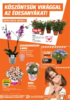 OBI akciós újság - amely érvényes a következő dátumtól: 28.04.2026 | Oldal: 3 | Termékek: Orchidea, Hortenzia, Kaspó