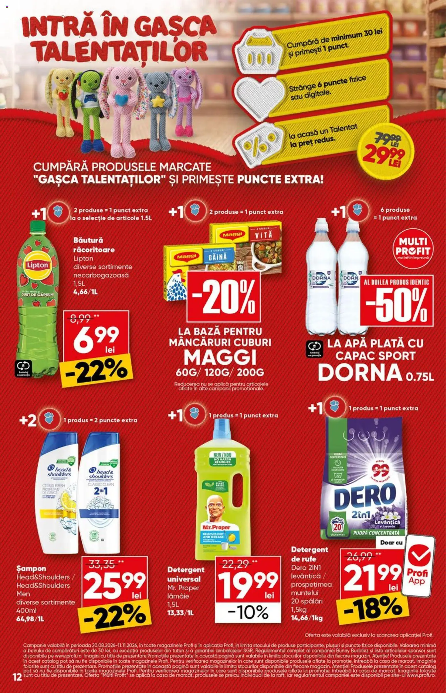 Noul catalog Profi – valabil de la 24.09.2026 | Pagină: 12