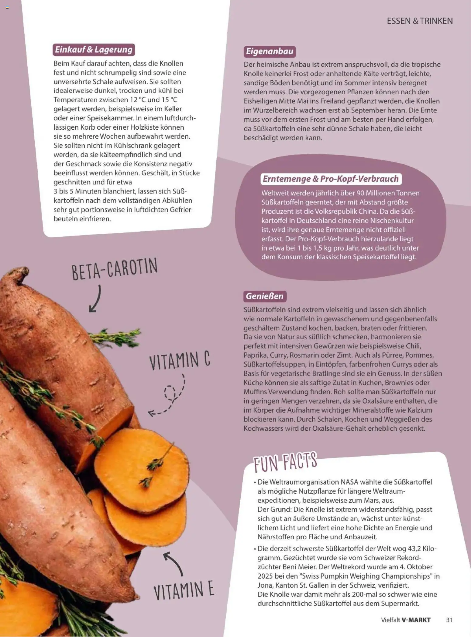V-Markt Vielfals September / Oktober – gültig ab 01.09.2026 | Seite: 31 | Produkte: Korb, Küche, Kühlschrank, Kartoffeln