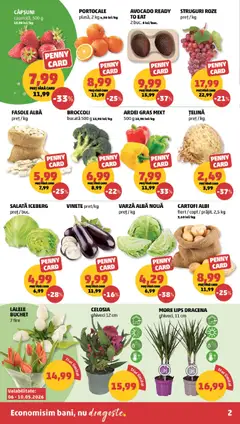 Ofertele PENNY valabile de la 06.05.2026 | Pagină: 2