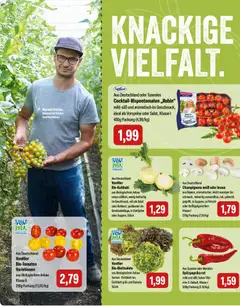 Feneberg Angebote ab 02.07.2026 gültig | Seite: 8 | Produkte: Tomaten, Champignons, Fleisch, Salat