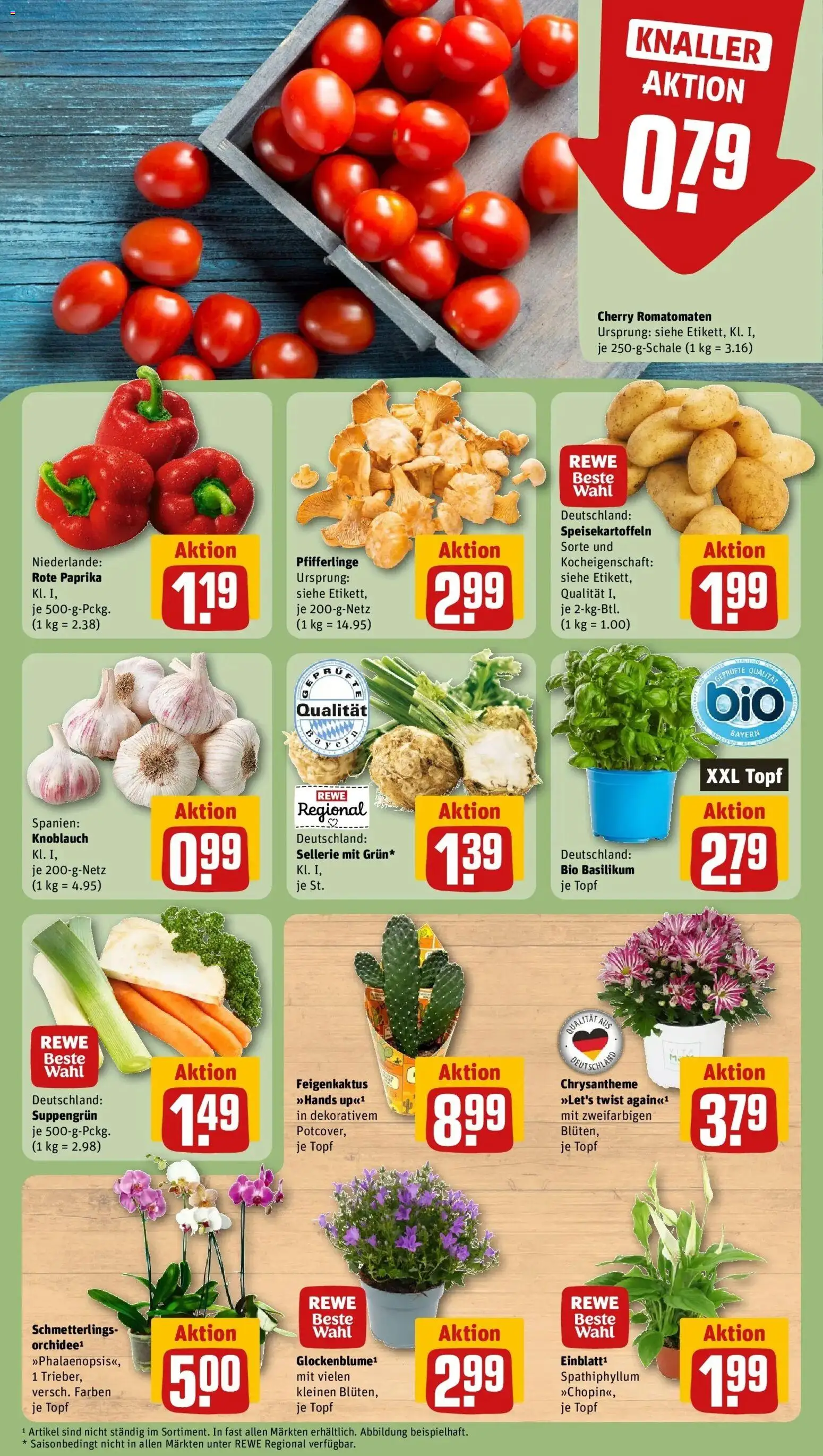 REWE Prospekt ab 10.08.2026 zum Blättern » Angebote | Seite: 5 | Produkte: Paprika, Knoblauch, Pfifferlinge, Rote Paprika