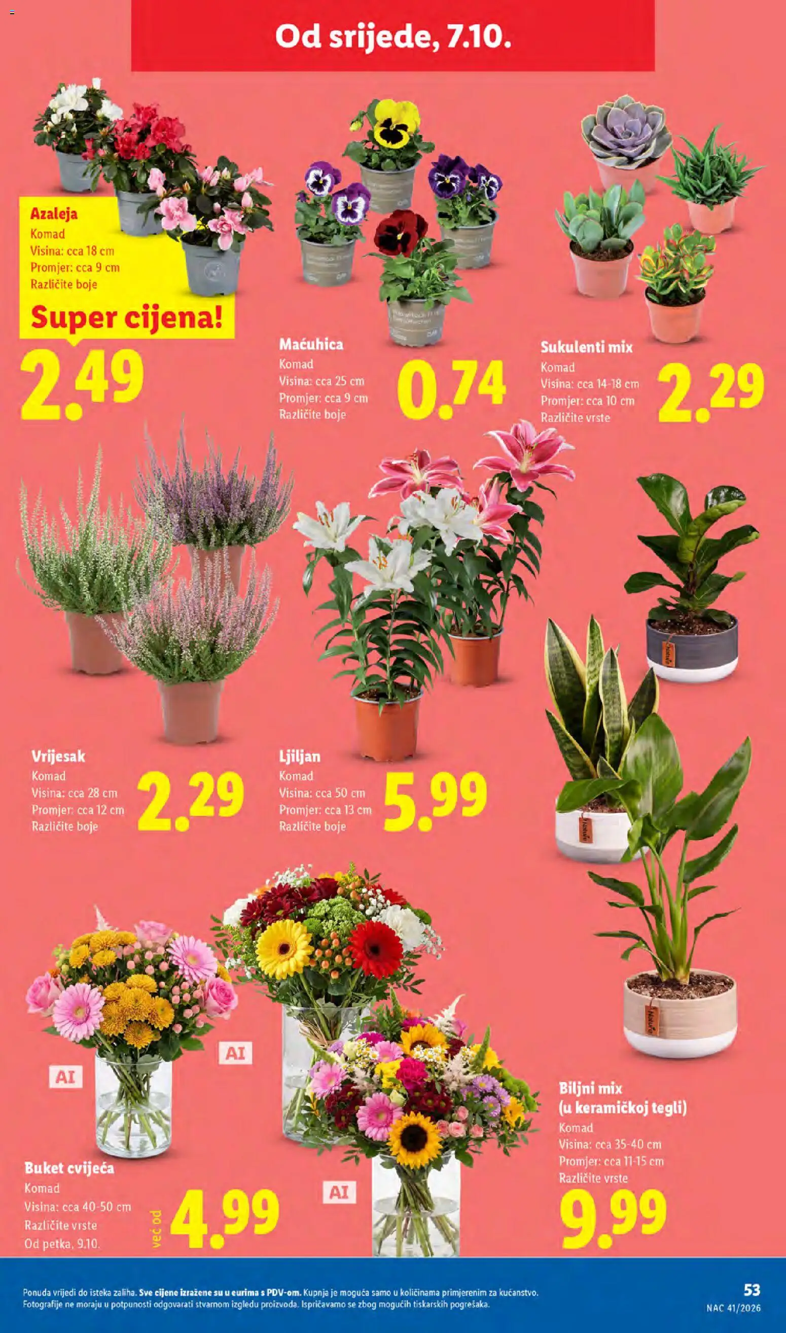 Lidl katalog | vrijedi od 05.10.2026 | Stranica: 53 | Proizvodi: Vrijesak, Buket