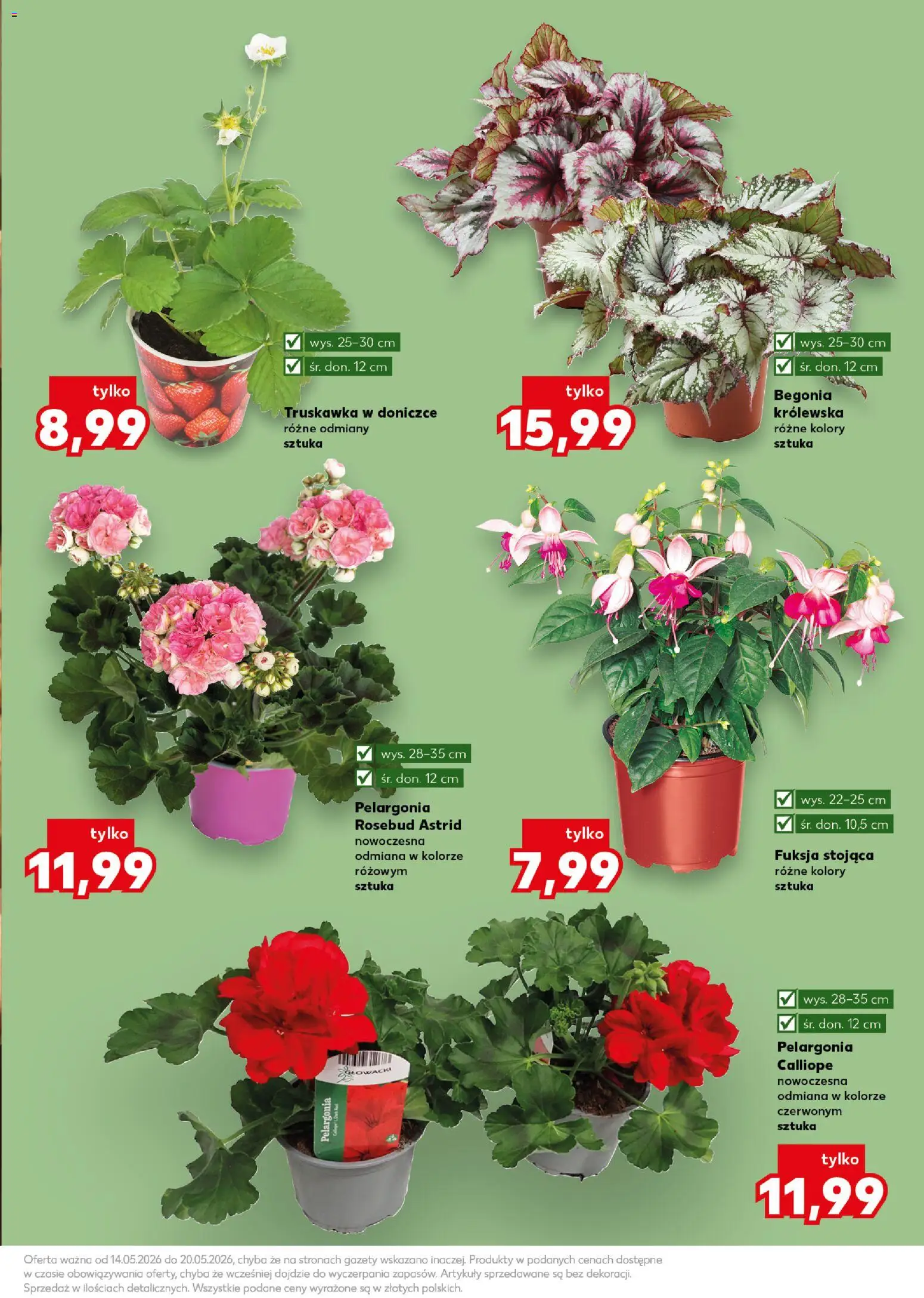 Kaufland Polsko leták - Wiosenne inspiracje od 14.05.2026 | Strana: 11