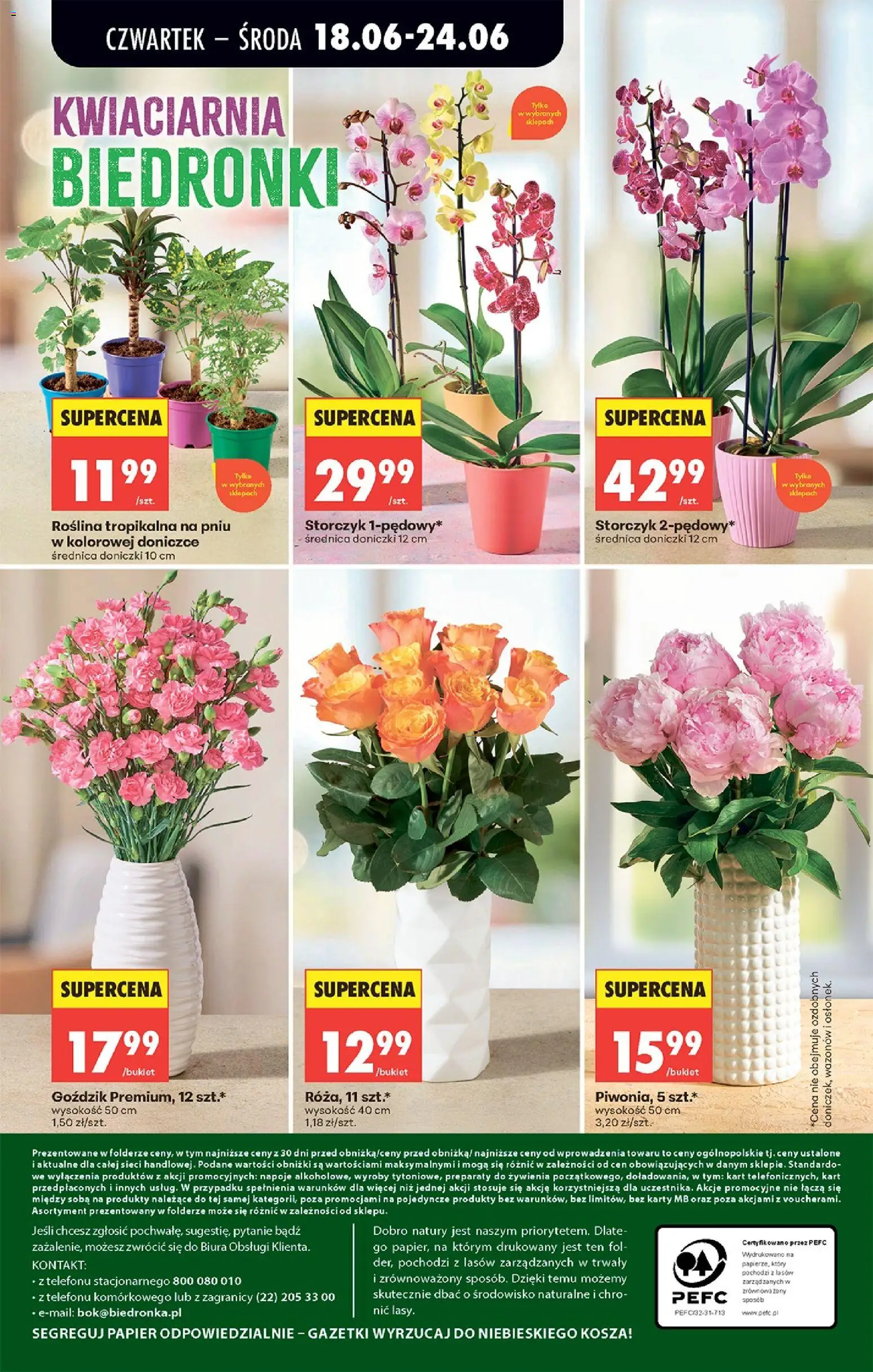 Biedronka gazetka od czwartku od 18.06.2026 | Strona: 87 | Produkty: Napoje, Goździk, Doniczki, Storczyk