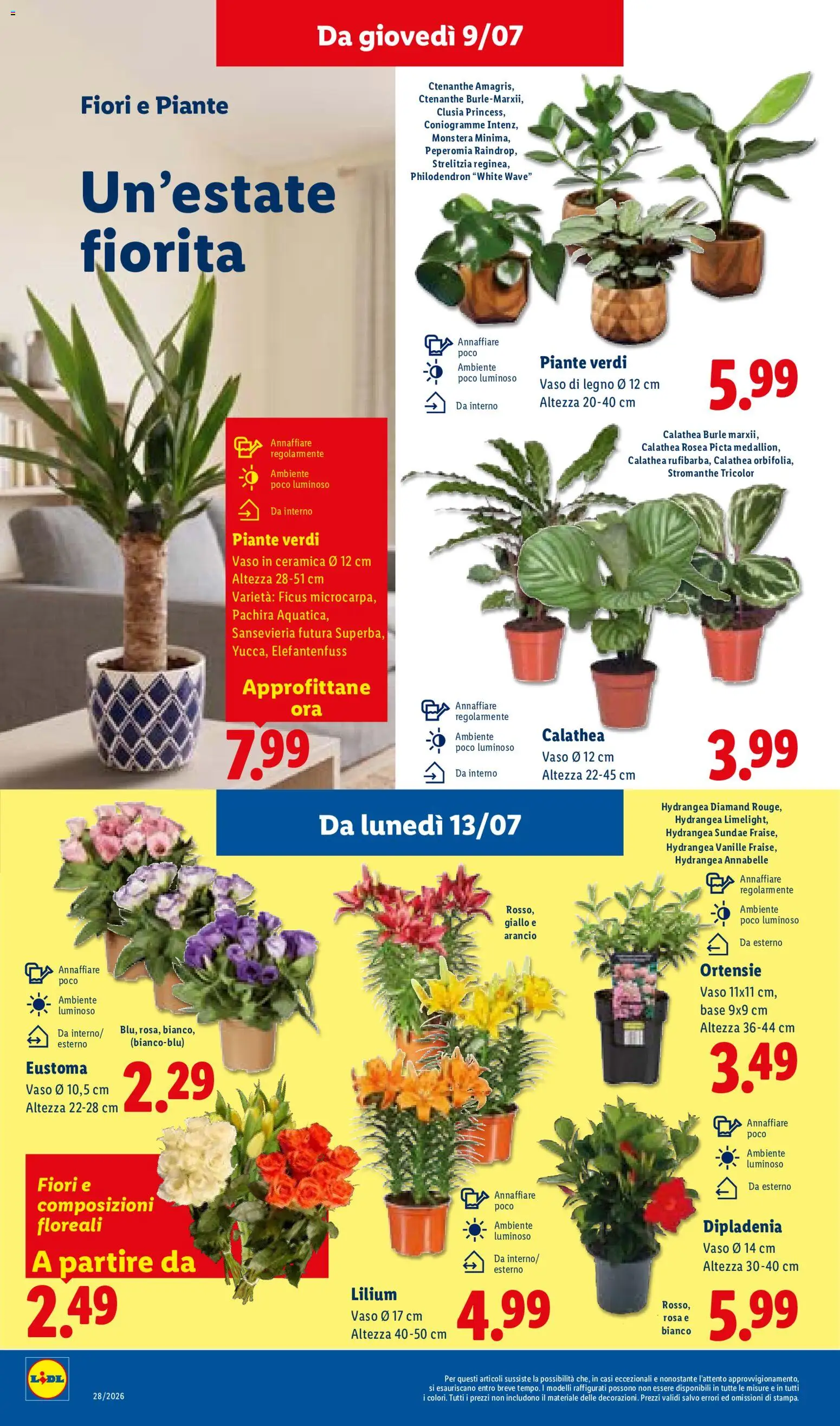 Volantino Lidl del 09/07/2026 | Pagina: 36