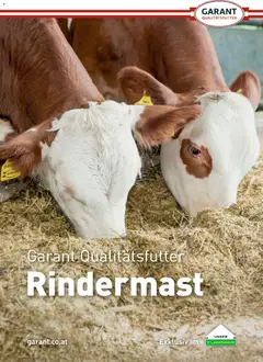 Lagerhaus Rindermast ab 31.07.2026 gültig