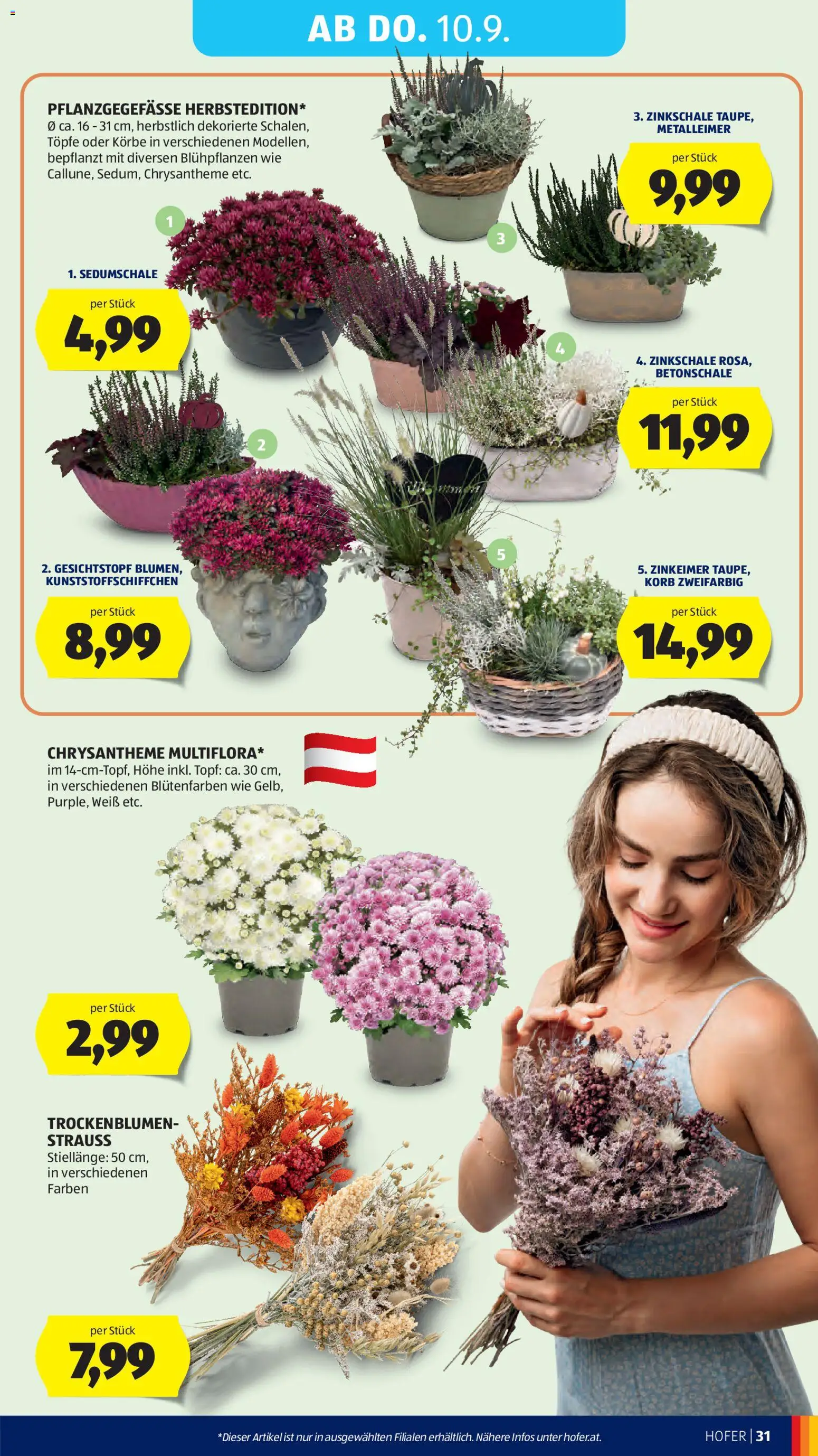 Hofer Flugblatt gültig ab 04.09.2026 | Seite: 39
