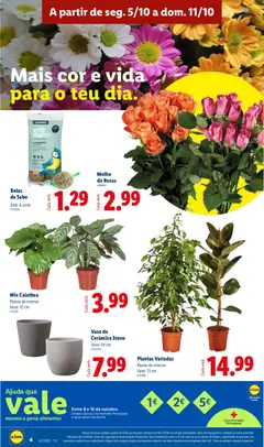 Pré-visualização Vaso de Cerâmica Stone, Vaso: 24 cm válido de 05/10/2026 | Página: 4 | Produtos: Vaso