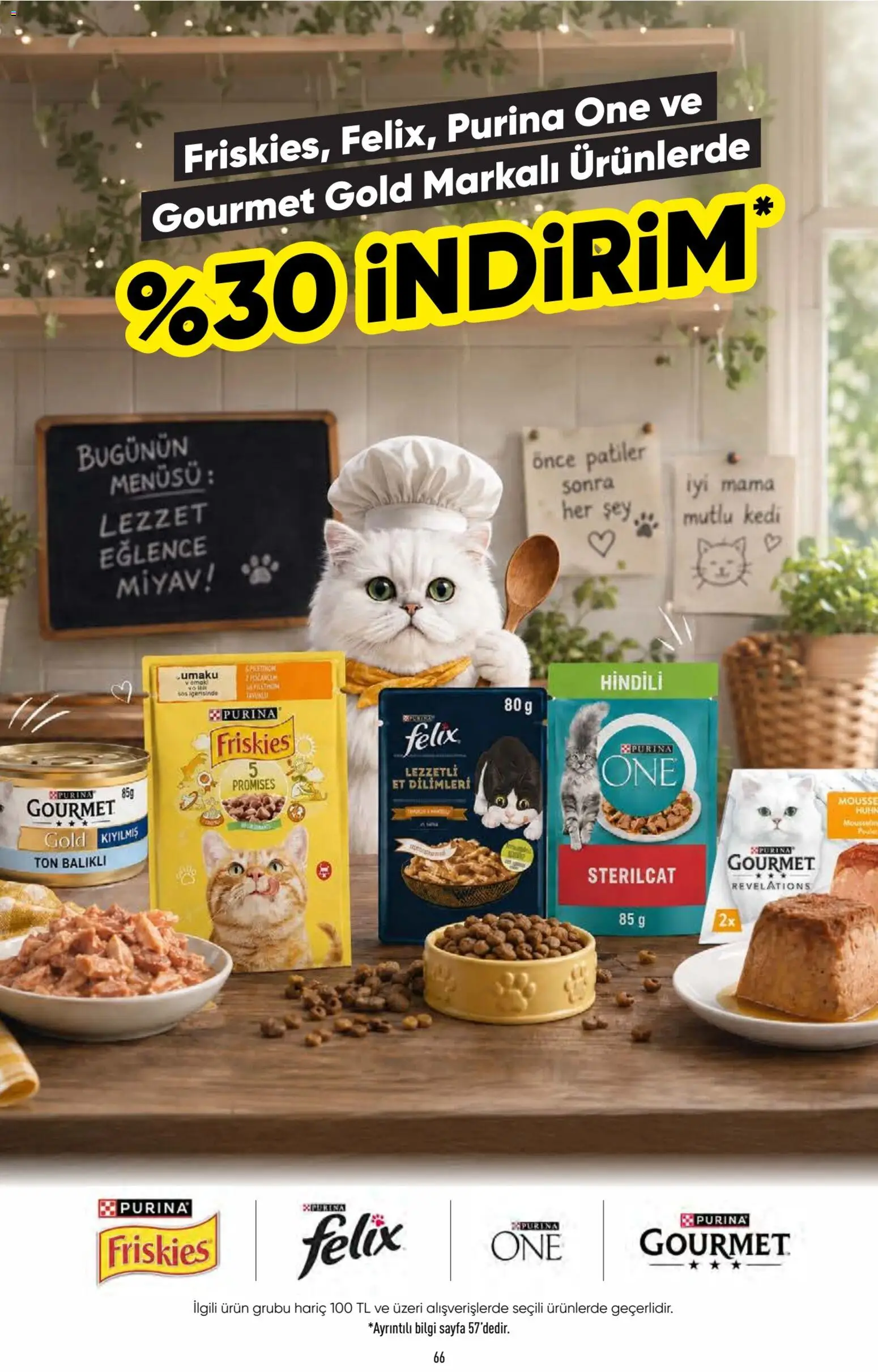 CarrefourSA - Katalog Gurme - 20 Ağustos 2026 tarihinden itibaren geçerlidir | Sayfa: 66 | Ürünler: Et, Sos