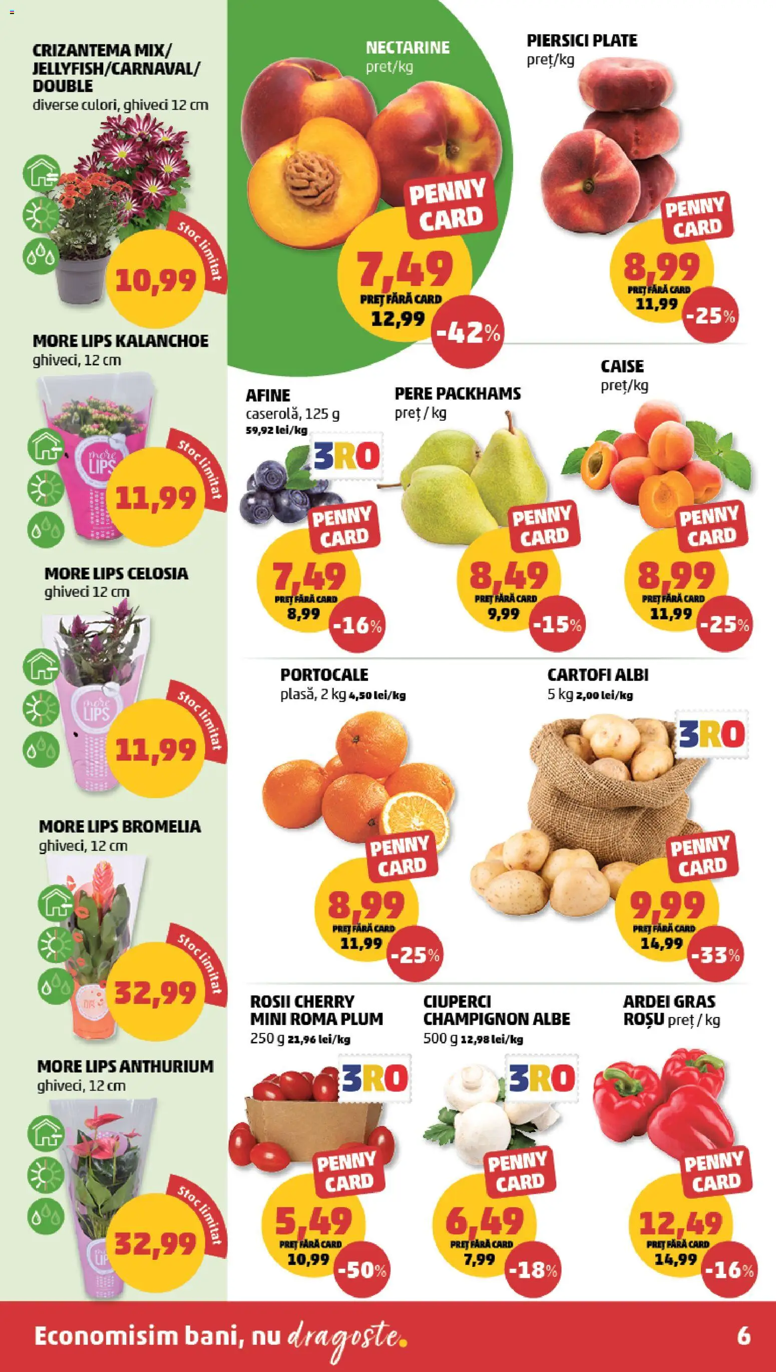 Noul catalog PENNY – valabil de la 24.06.2026 | Pagină: 6 | Produse: Afine, Temizlik kovası, Ardei, Cartofi