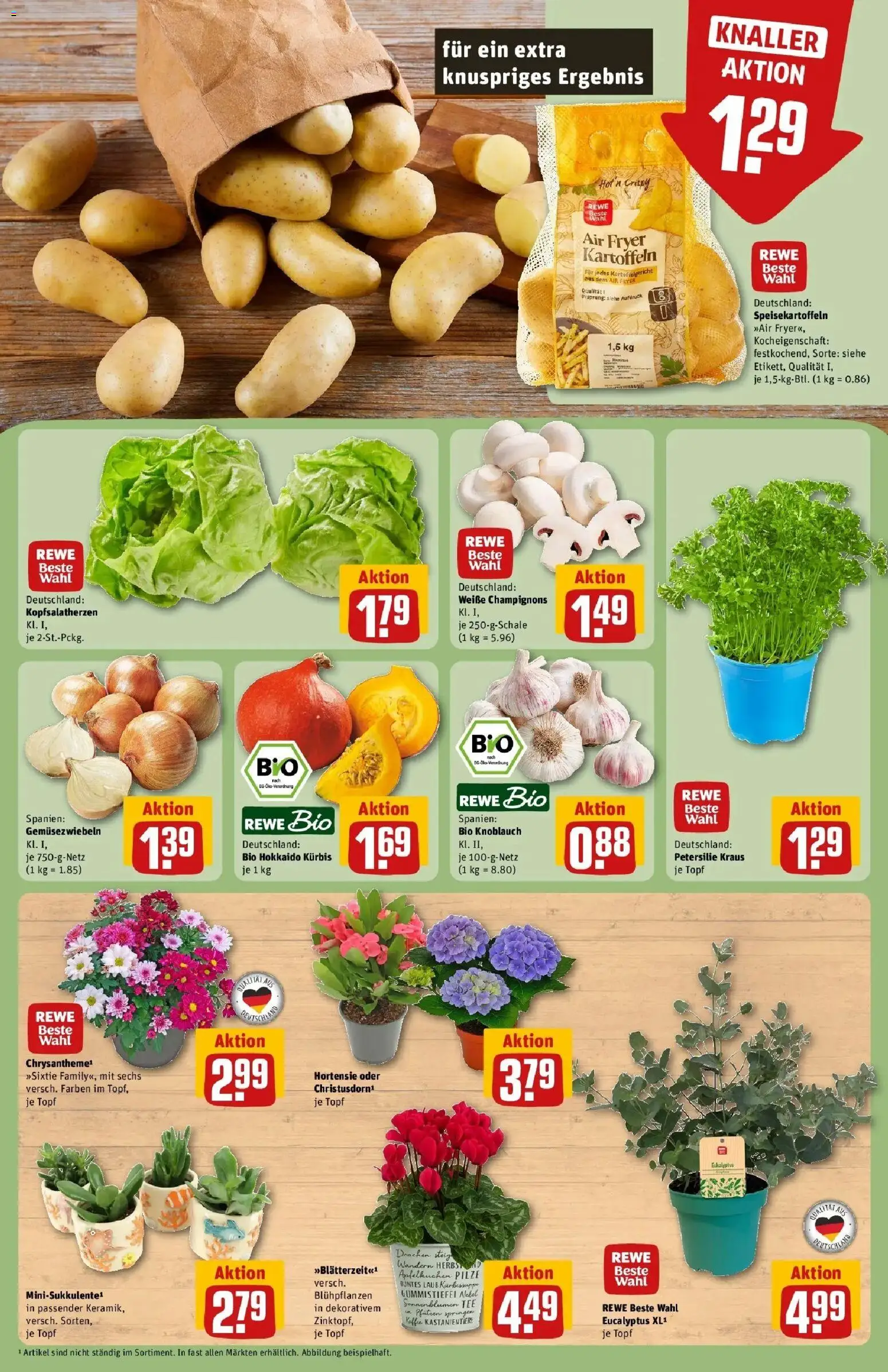 REWE Prospekt ab 24.08.2026 zum Blättern » Angebote | Seite: 7 | Produkte: Knoblauch, Kürbis, Petersilie, Tee