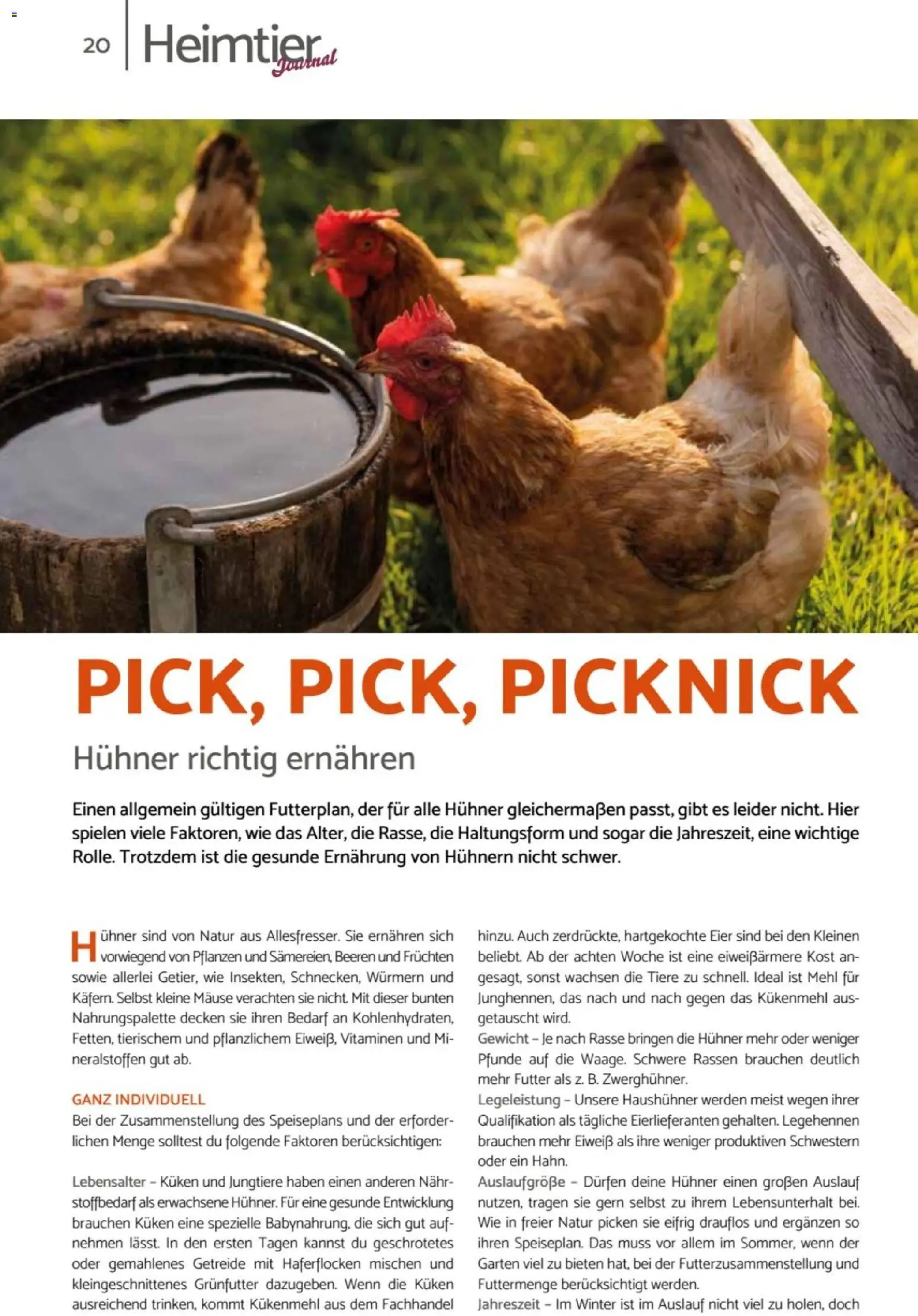 zookauf Heimtier Journal – gültig ab 01.10.2026 | Seite: 20 | Produkte: Gewicht, Mehl, Eier, Getreide