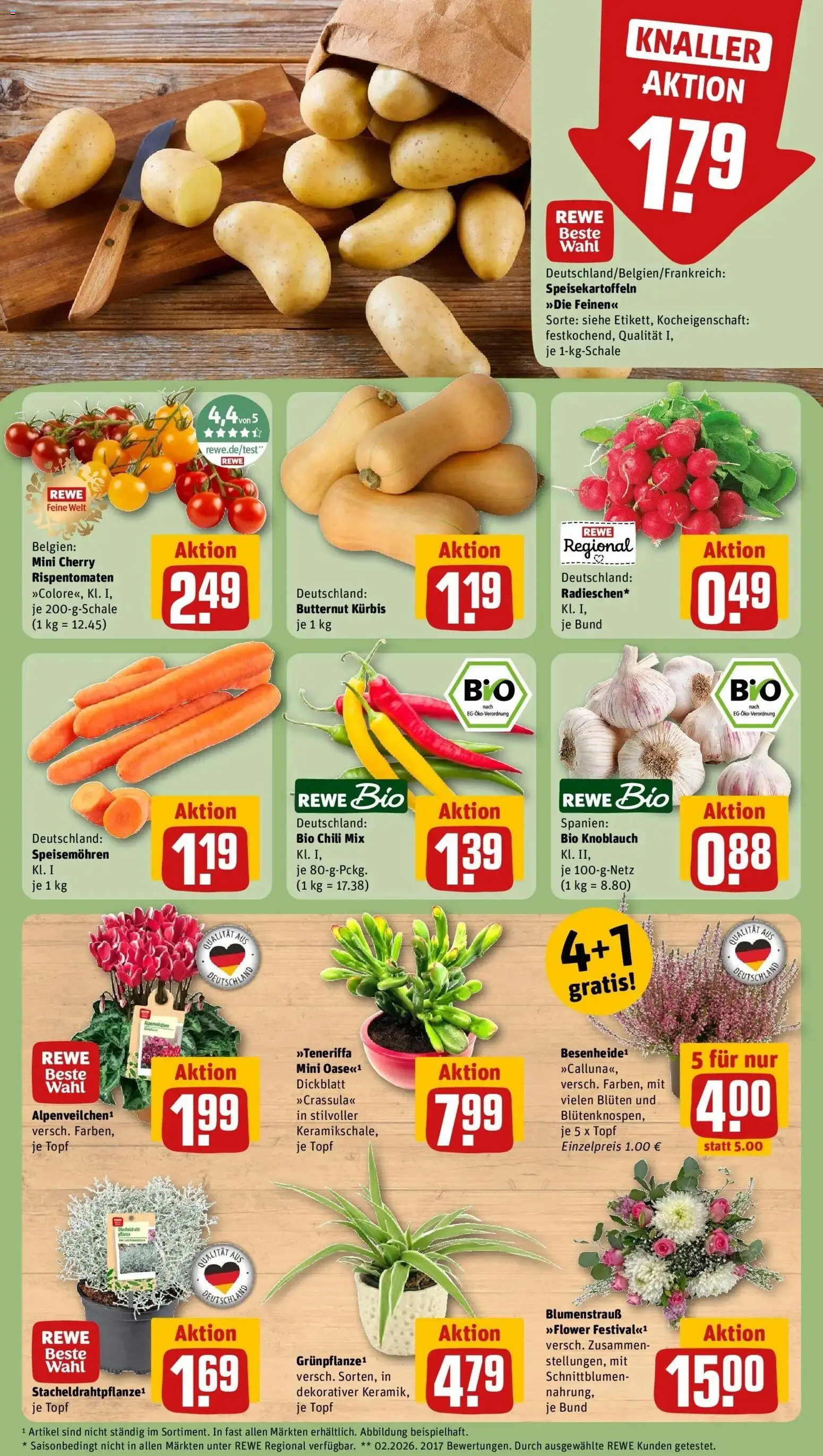 REWE Prospekt ab 05.10.2026 zum Blättern » Angebote | Seite: 9 | Produkte: Knoblauch, Chili, Kürbis