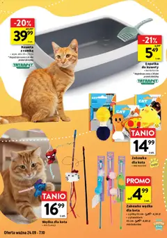 Pogląd oferty "Intermarche gazetka - Wszystko czego chcę dla pupila" - ważna od 24.09.2026 | Strona: 10 | Produkty: Zabawka dla kota, Ramka