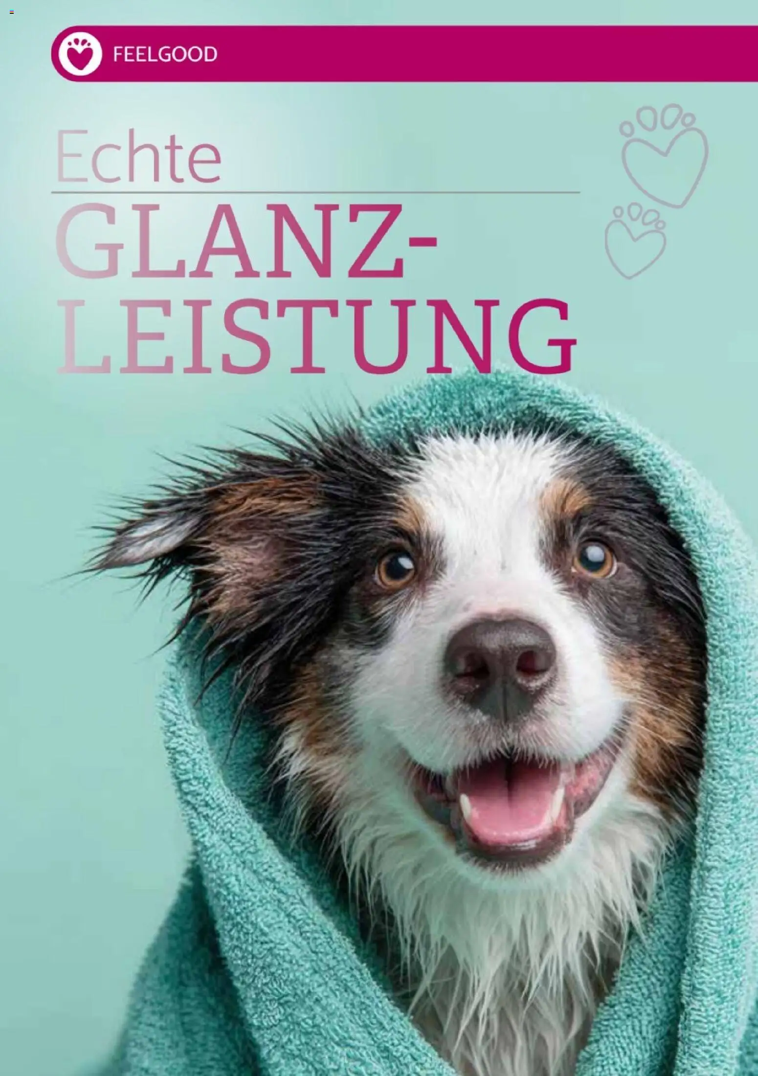 zookauf Heimtier Journal Special – gültig ab 01.06.2026 | Seite: 6