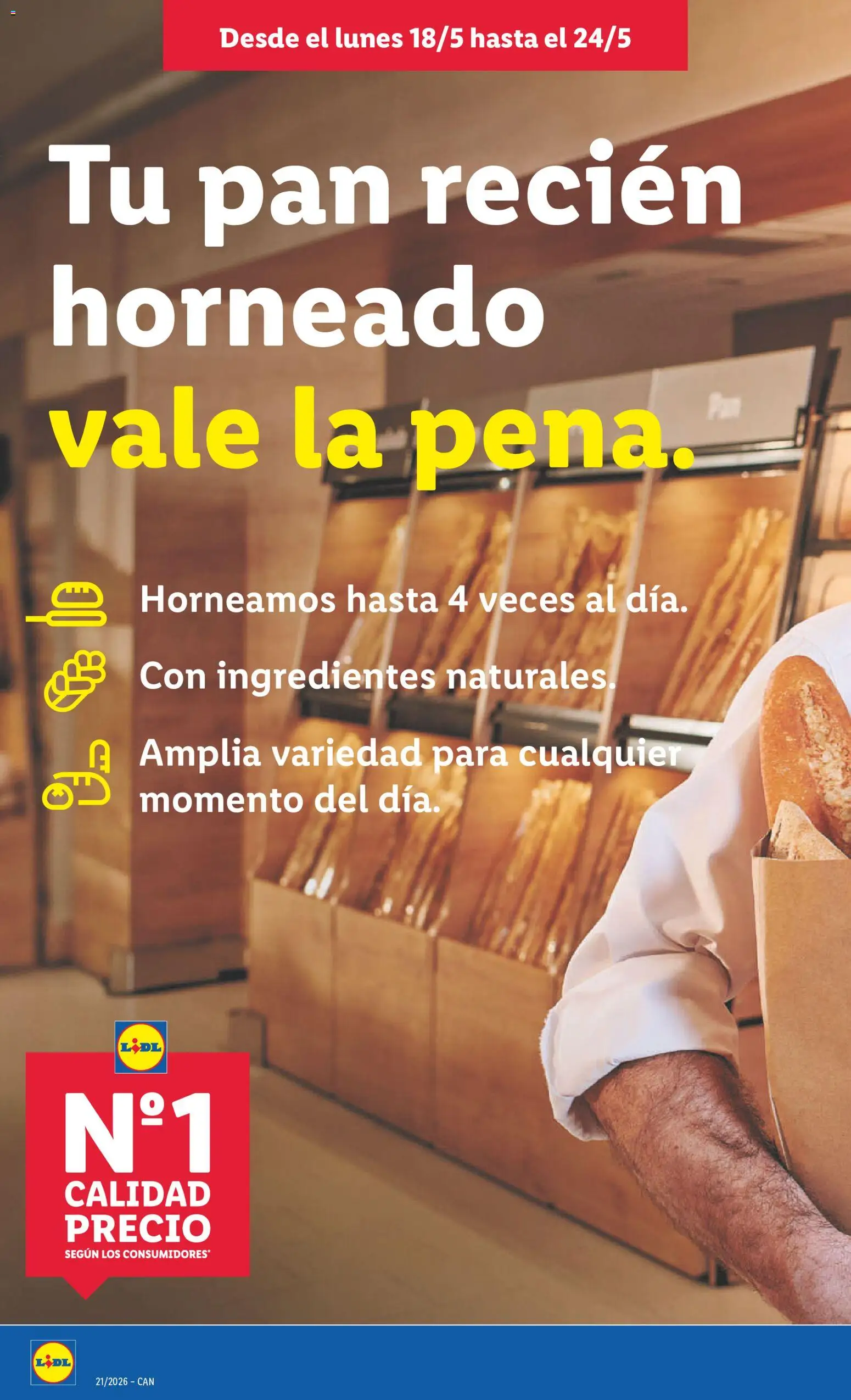 Lidl folleto │ válido desde el 18.05.2026 | Página: 8 | Productos: Κρεμάστρα, Pan