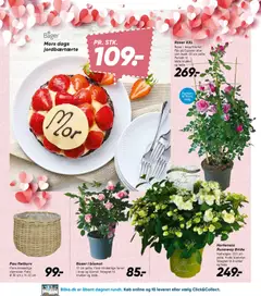 Bilka - Nonfood gyldig fra 08.05.2026 | Side: 11 | Produkter: Krukke, Søm