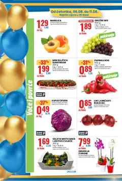 ORHIDEJA 2 GRANE, Orhideja 2 grane - Pregled kataloga iz trgovine Eurospin, vrijedi od 06.08.2026 | Stranica: 2