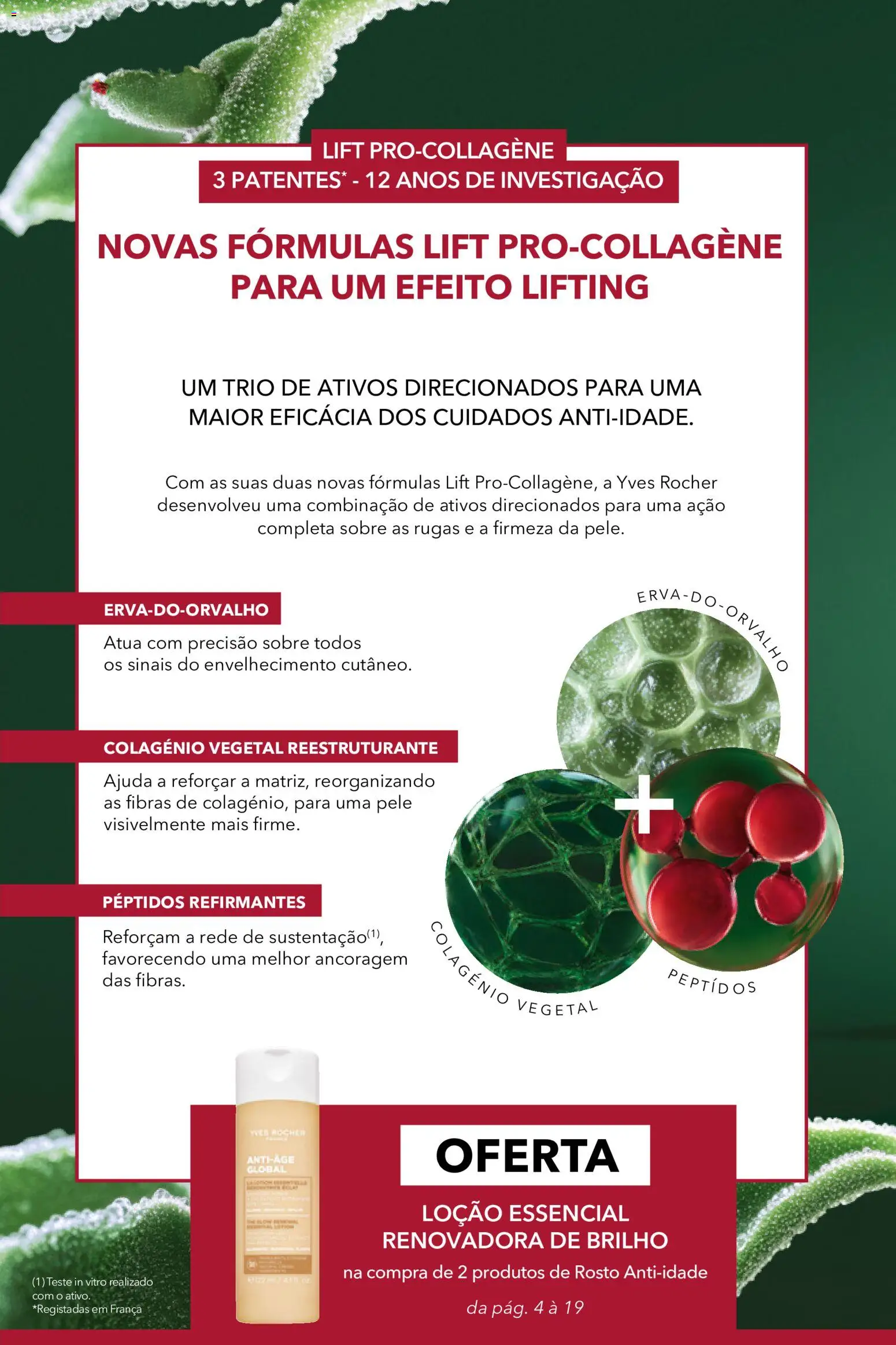 Yves Rocher Catálogo 12 │ válido de 24/09/2026 | Página: 4