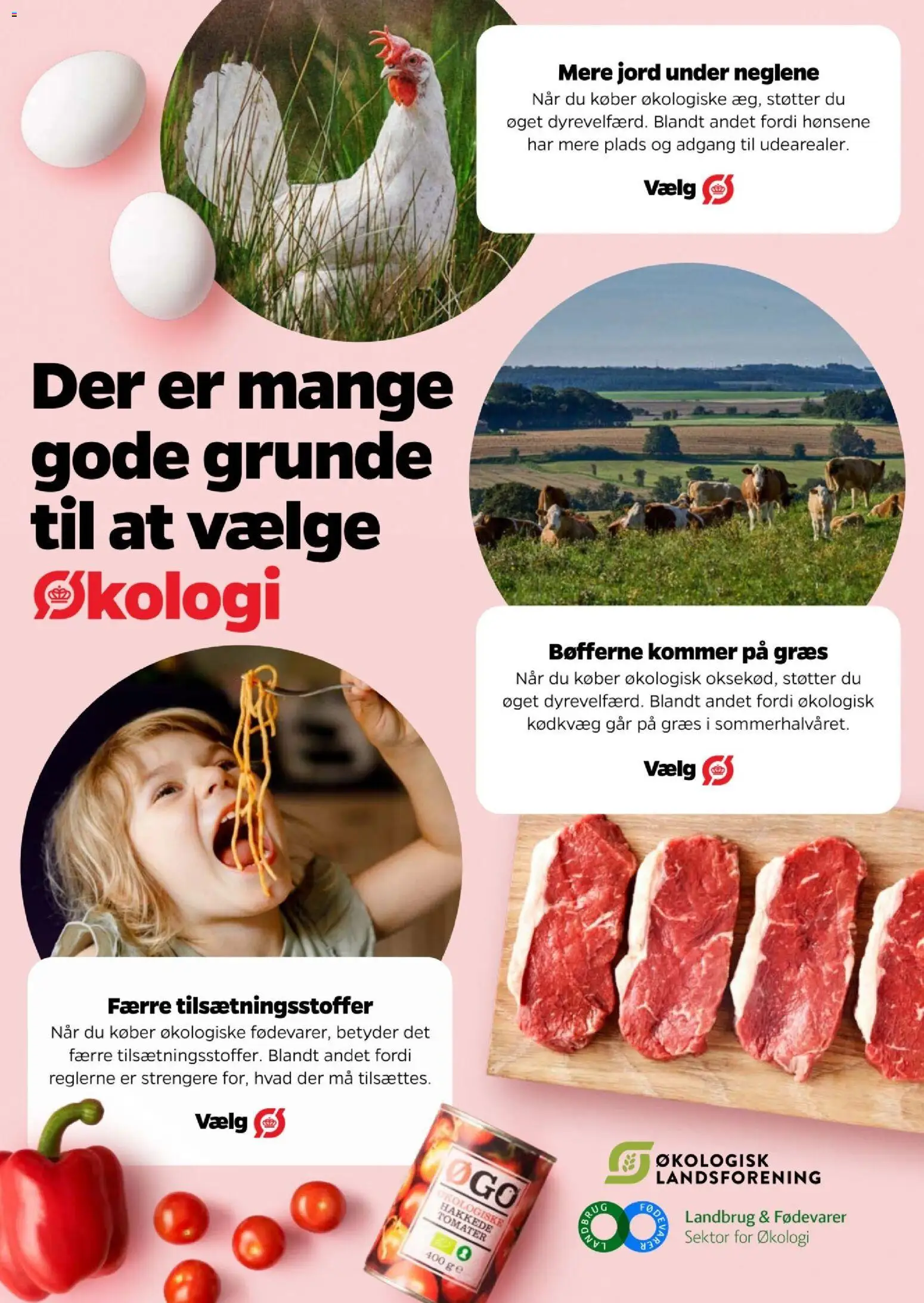 Netto tilbudsavis – gyldig fra 30/10/2026 | Side: 4