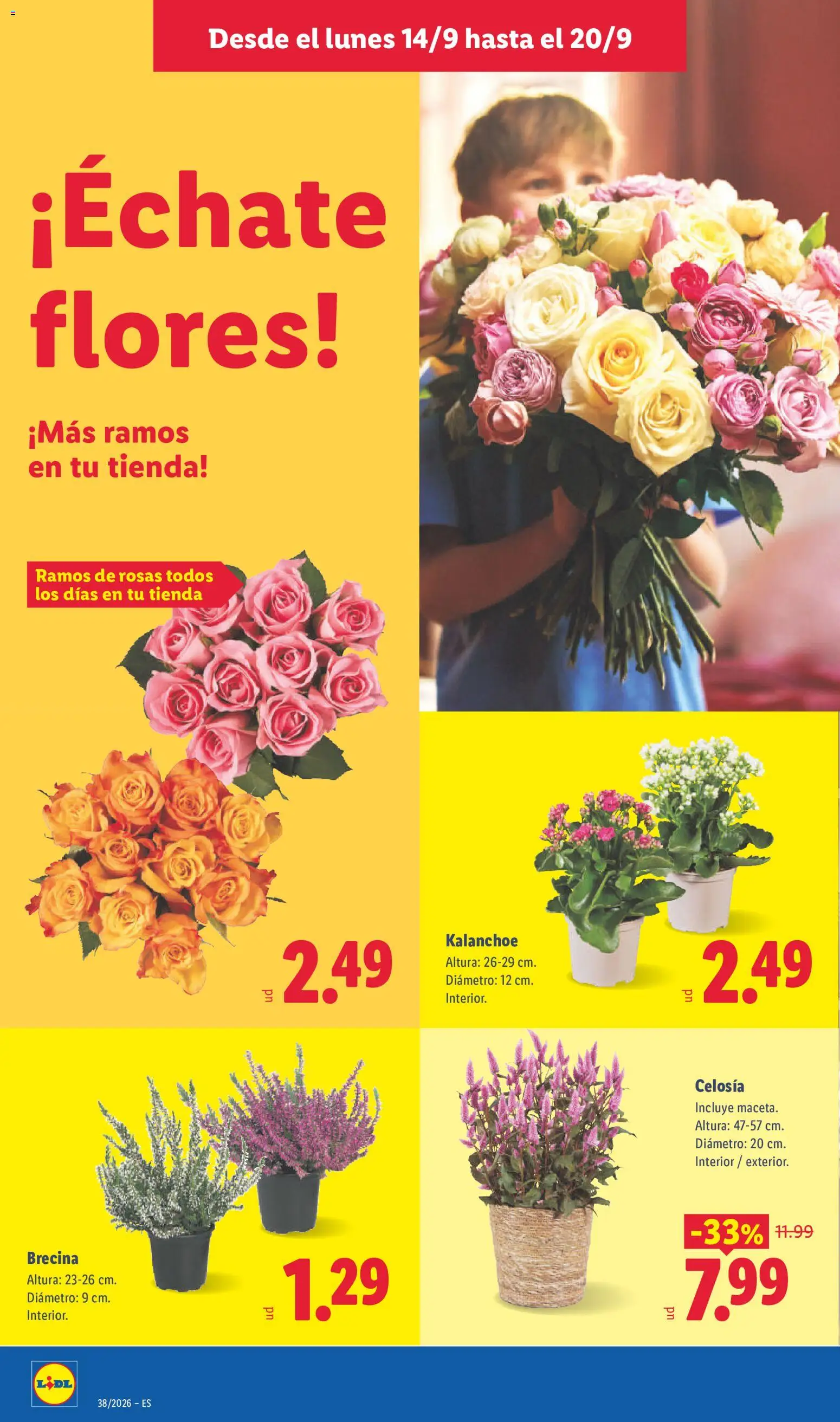 Lidl folleto │ válido desde el 14/09/2026 | Página: 48
