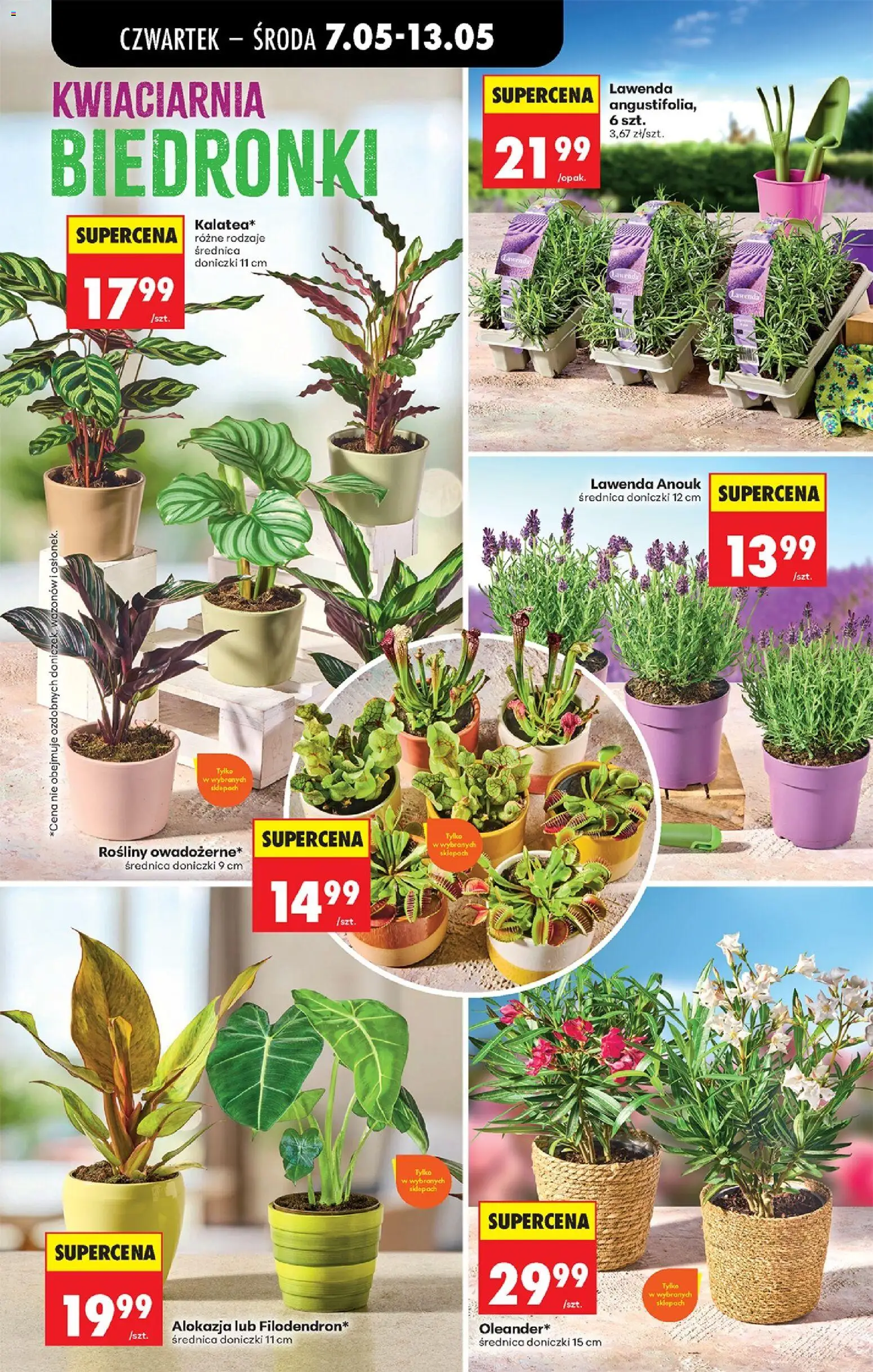 Biedronka Polsko leták - Codziennie niskie ceny od 07.10.2026 | Strana: 84