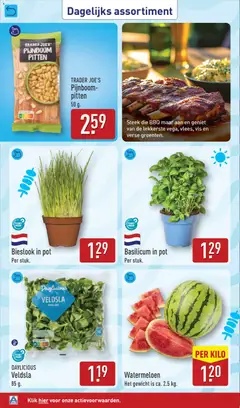 Aldi folder week 19 - Voorbeeld van een folder van Aldi, geldig van 04.05.2026 | Pagina: 32 | Producten: Pot, Gewicht, Pitten, Watermeloen