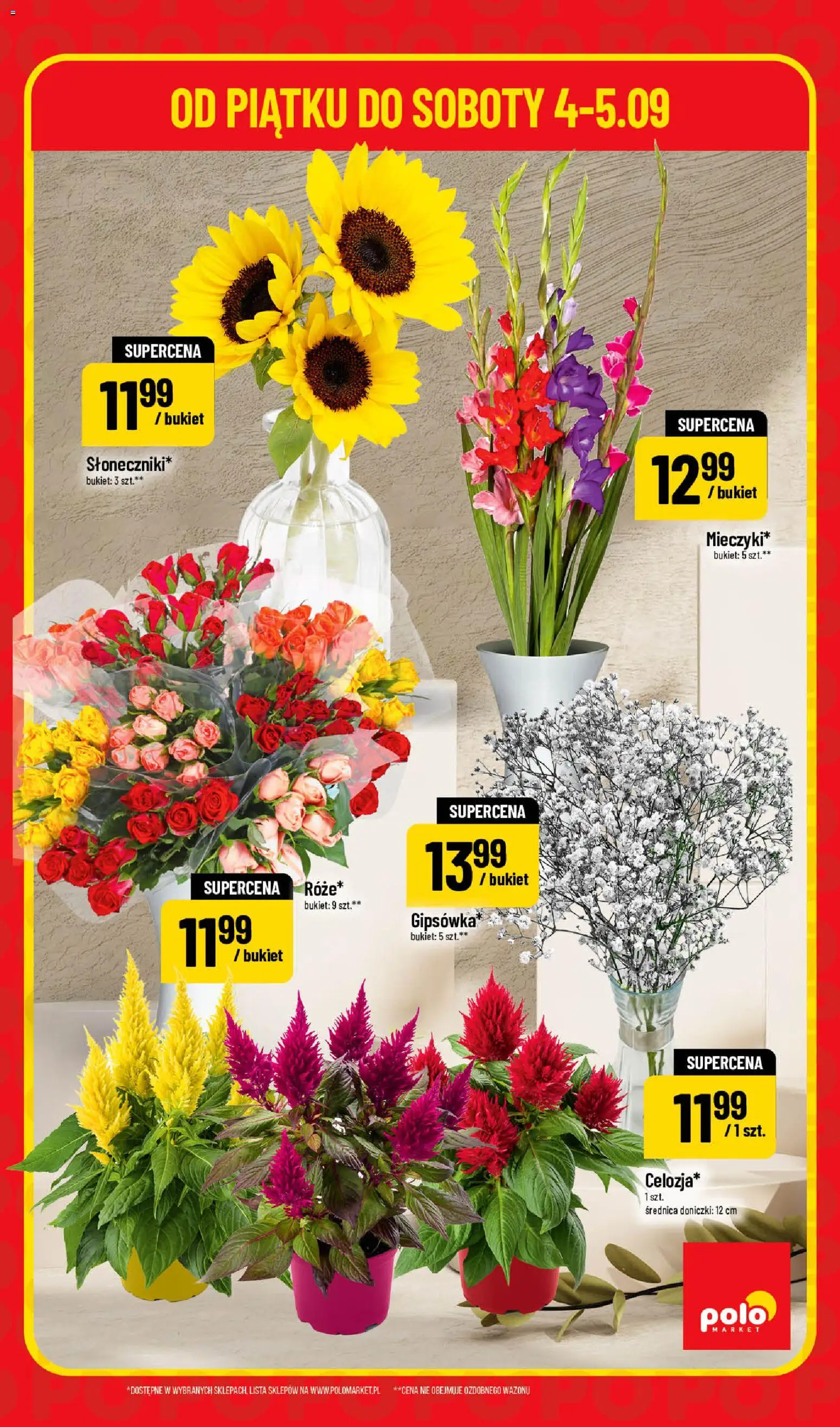 POLOmarket gazetka - Super Hity od 04.09.2026 | Strona: 5 | Produkty: Doniczki