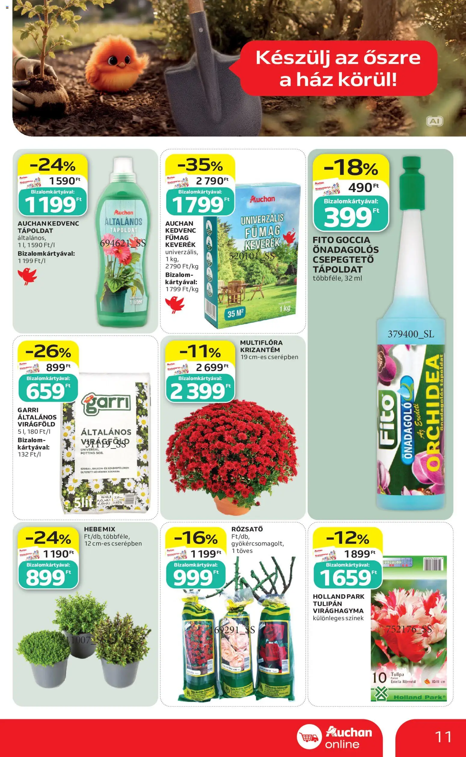 Auchan akciós ujság - amely érvényes a következő dátumtól: 2026.09.03. | Oldal: 11 | Termékek: Orchidea, Virághagyma, Általános virágföld, Tápoldat