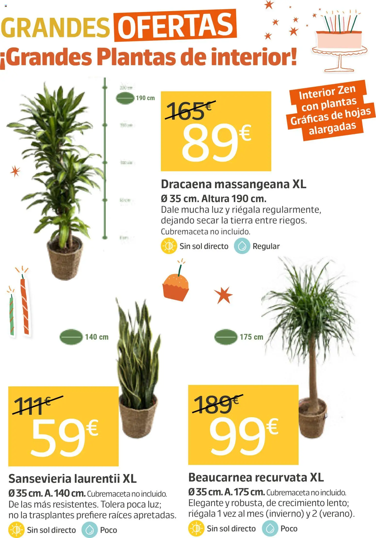 Jardiland folleto │ válido desde el 21.05.2026 | Página: 2
