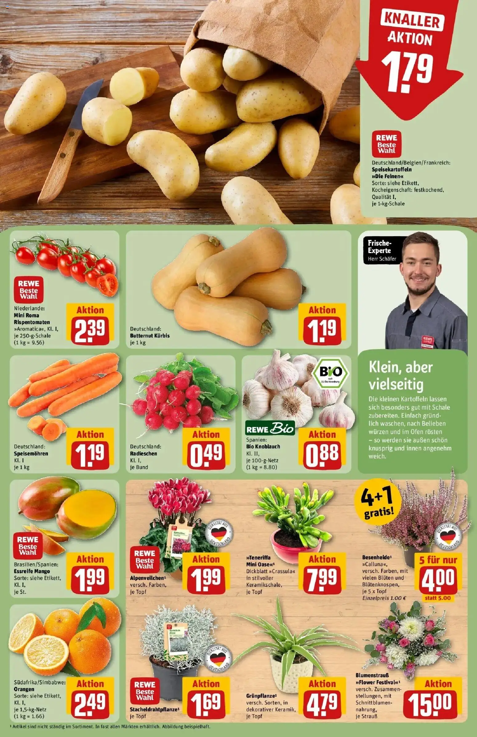 REWE Prospekt ab 05.10.2026 zum Blättern » Angebote | Seite: 9 | Produkte: Ofen, Orangen, Kartoffeln, Knoblauch