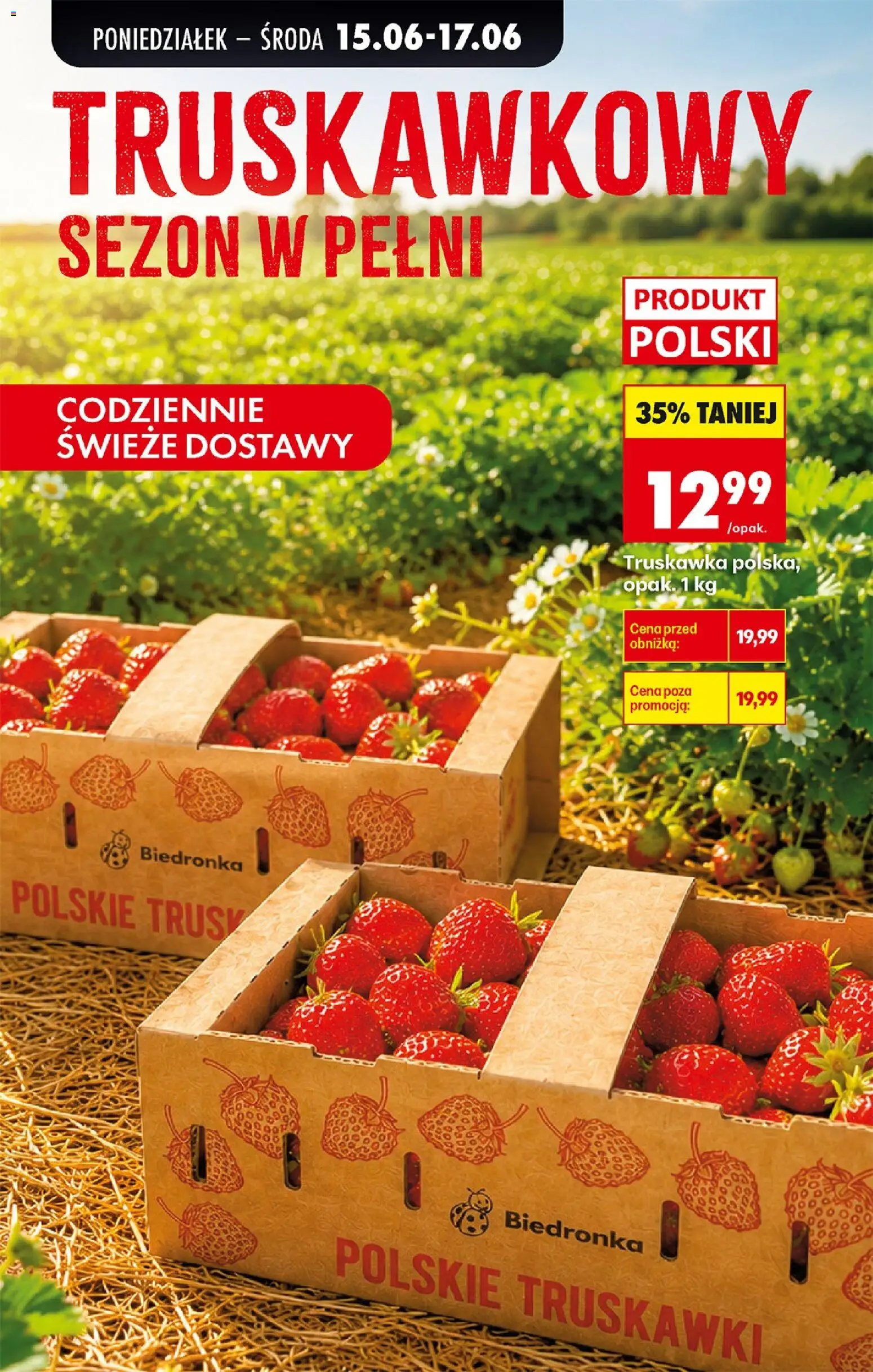 Biedronka Polsko leták od 15.06.2026 | Strana: 31