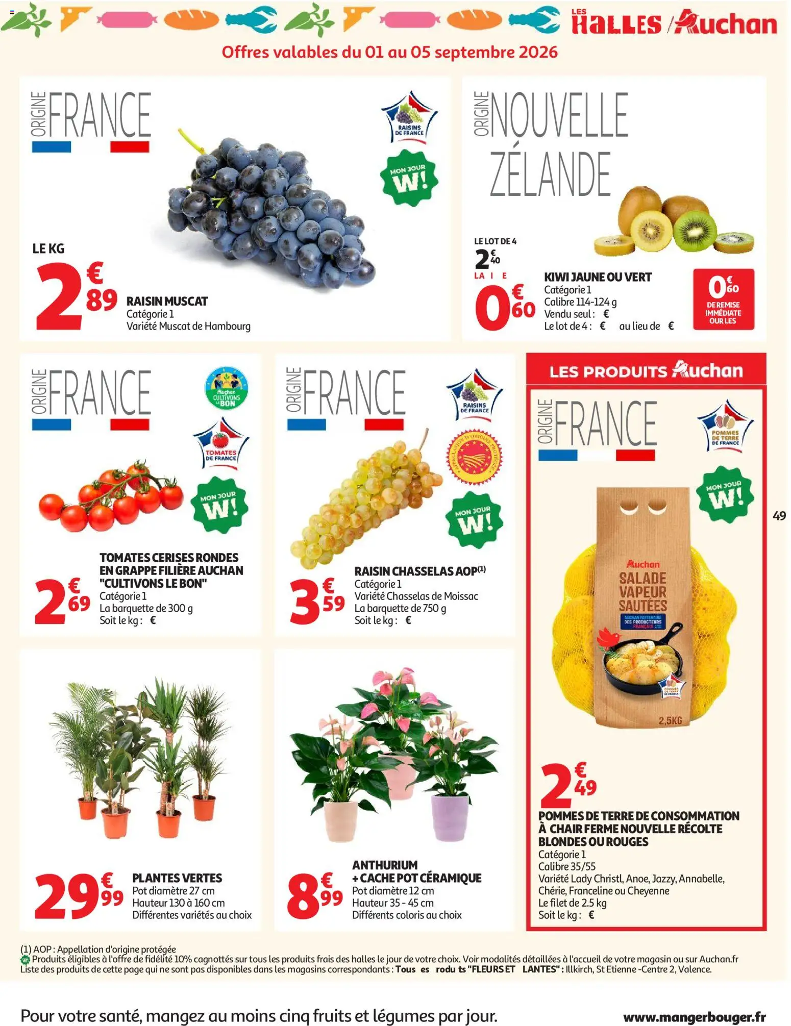 {H1} | Pagina: 51 | Producten: Kiwi, Salade, La, Pot