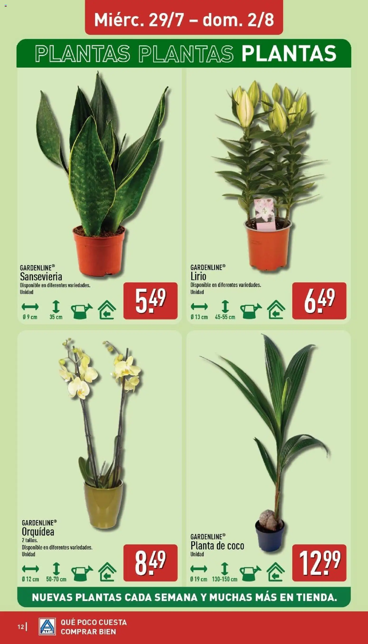 Aldi folleto Baleares │ válido desde el 27/07/2026 | Página: 12 | Productos: Τυρόπιτα