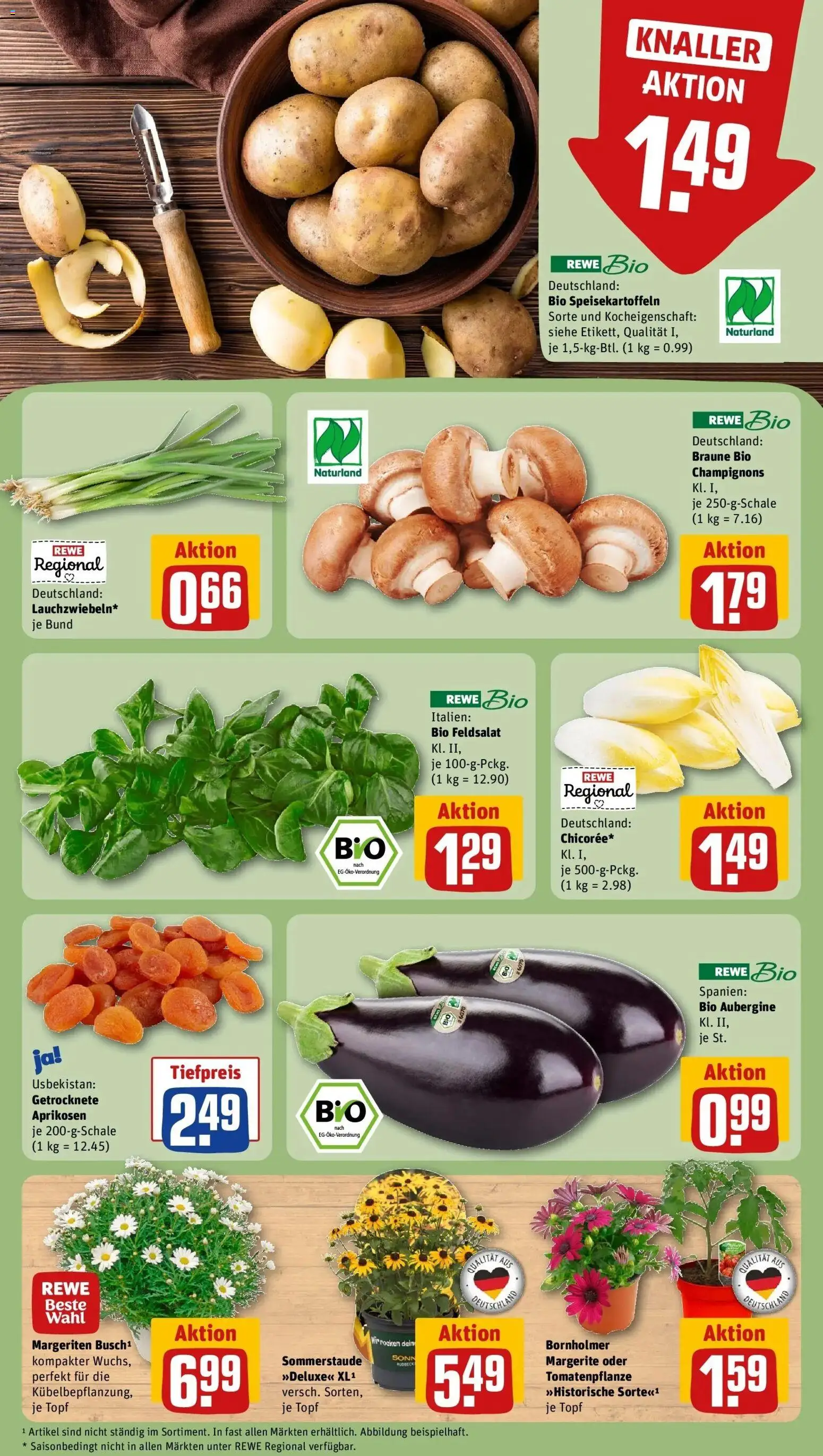 Rewe Prospekt Müllheim	 – gültig ab 27.04.2026 | Seite: 7 | Produkte: Champignons, Aubergine