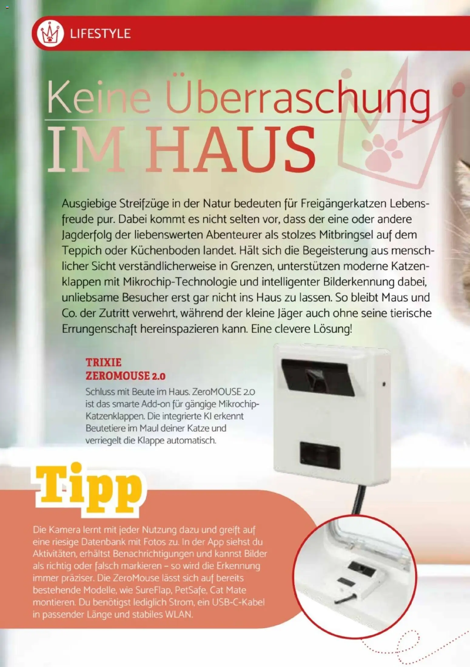 zookauf Heimtier Journal Special – gültig ab 01.08.2026 | Seite: 4 | Produkte: Kamera, Teppich, Bilder, Maus