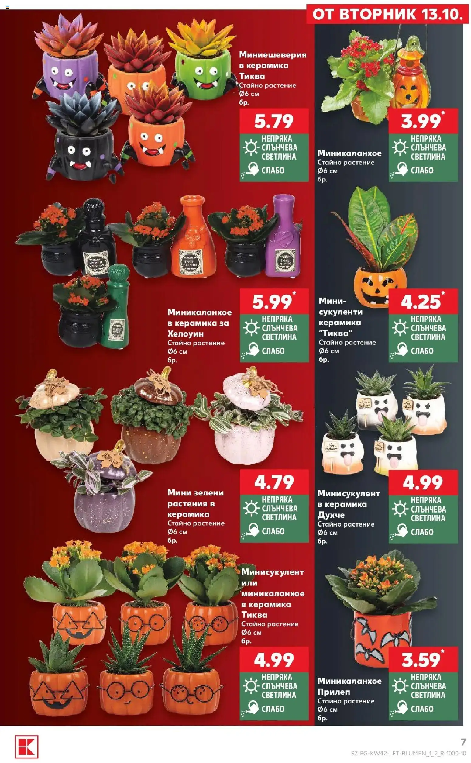 Нова Кауфланд брошура Бургас - 2 на цената на 1 в Kaufland с валидност до 18.10.2026 от 12.10.2026 | Страница: 7 | Продукти: Тиква