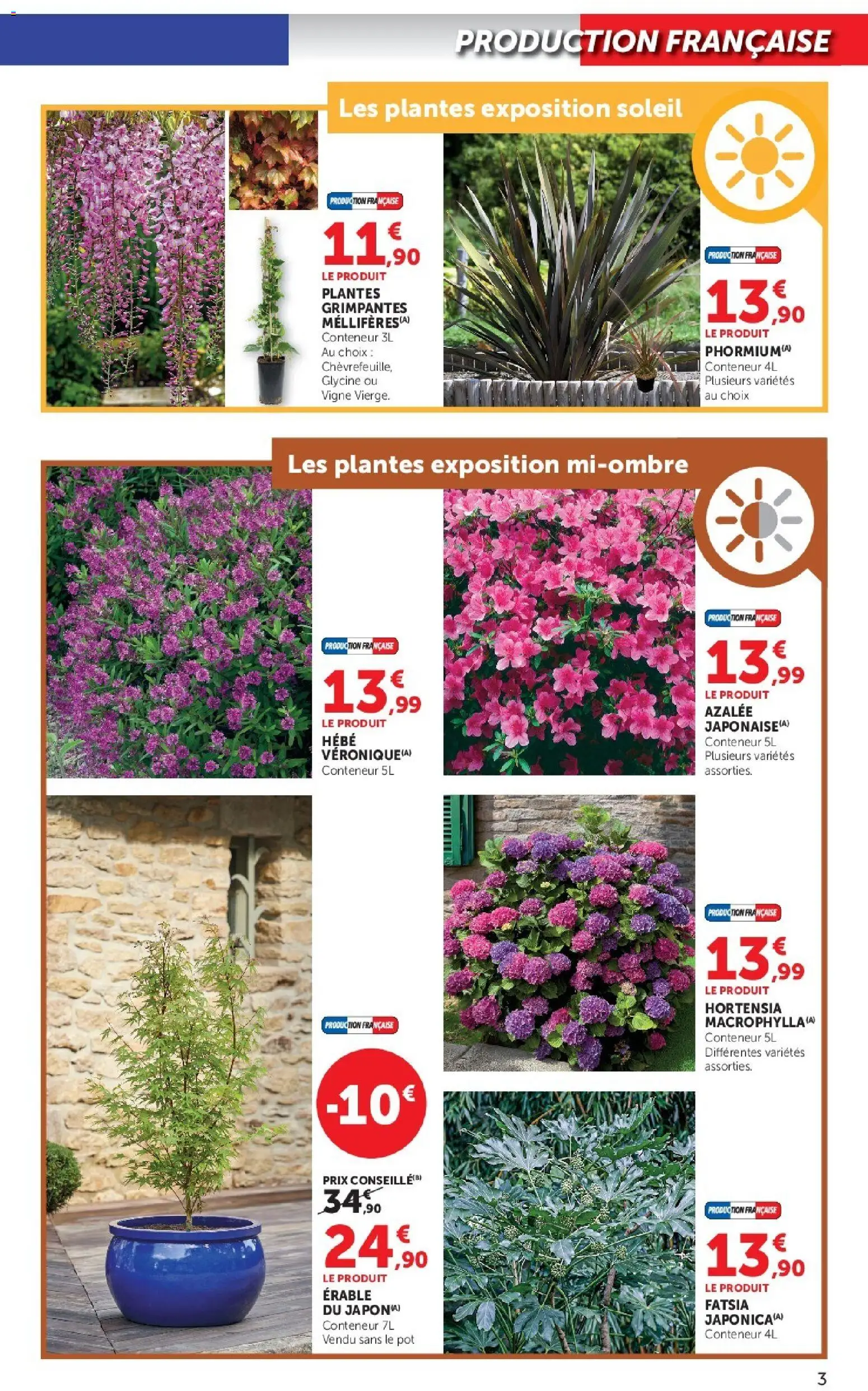{H1} | Page: 3 | Produits: Hortensia, Plantes